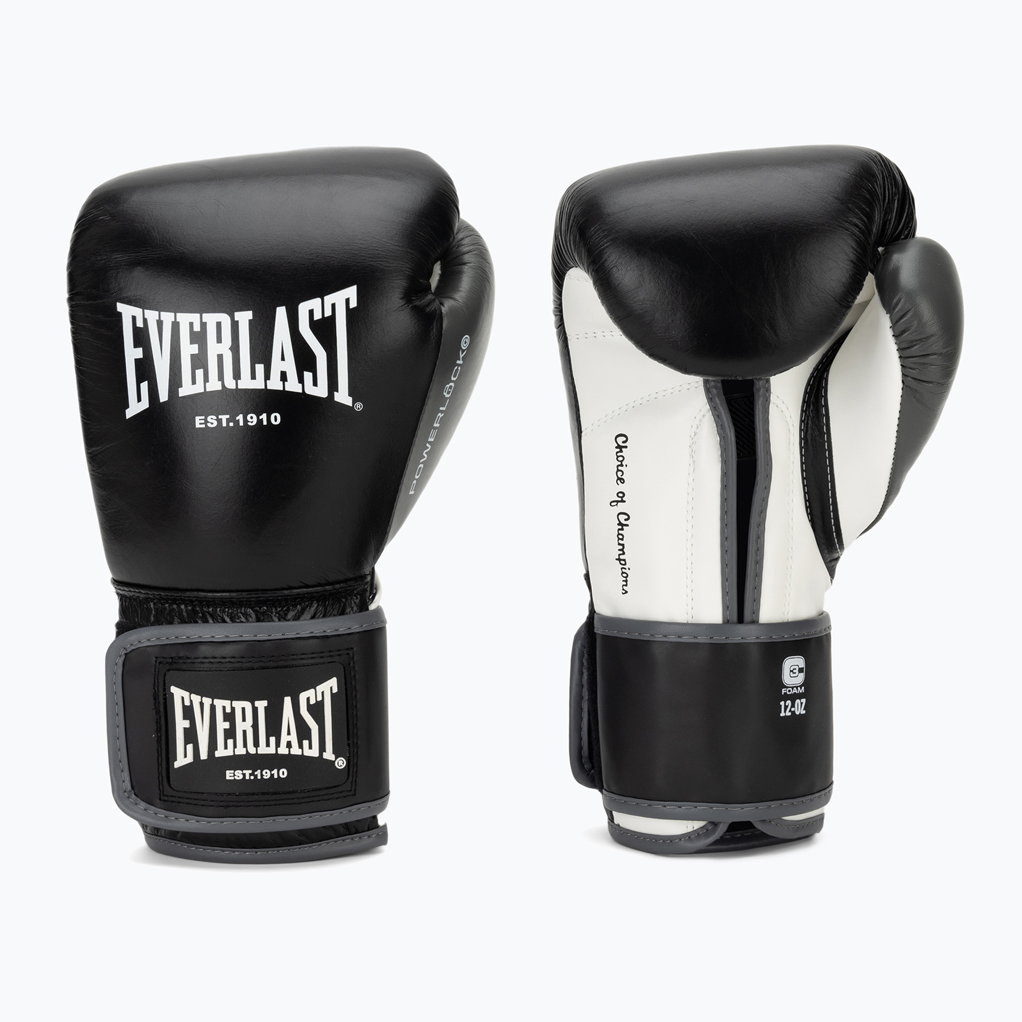 Mănuși de box Everlast Powerlock OG H&L Leather Advanced Training black/white