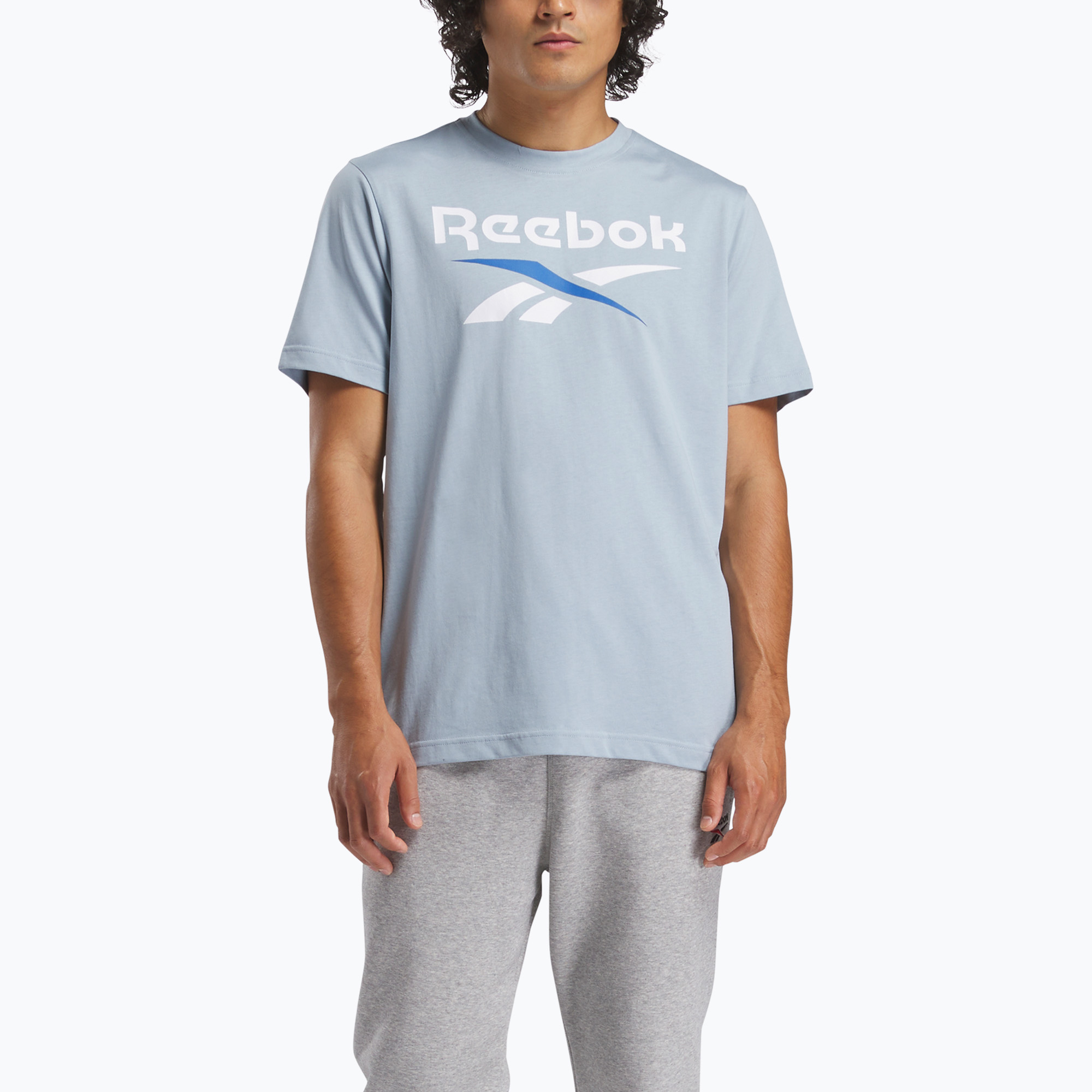 Мъжки потник Reebok Reebok Identity Big Logo Tee upgrade blue