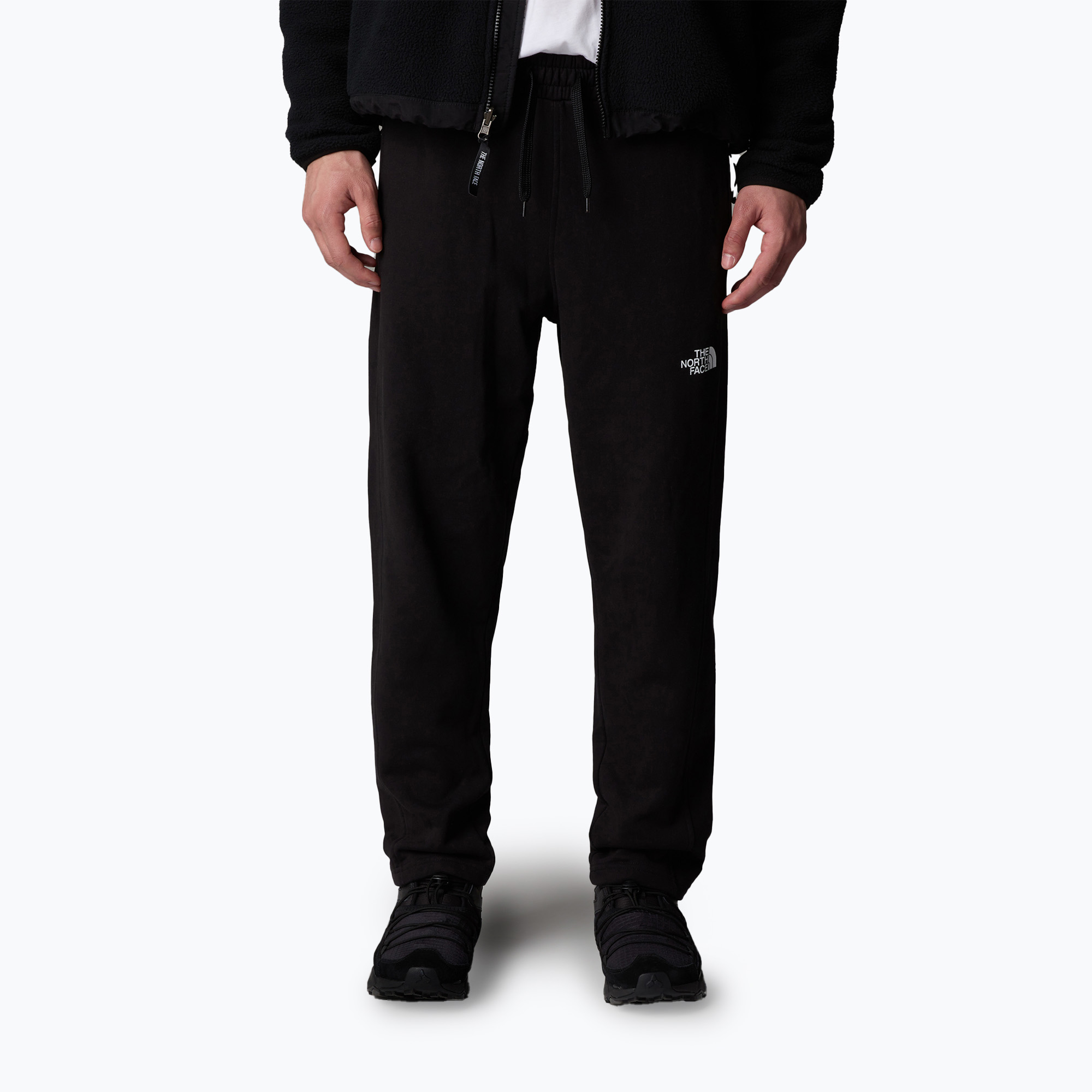 Spodnie męskie The North Face Standard Pant black 