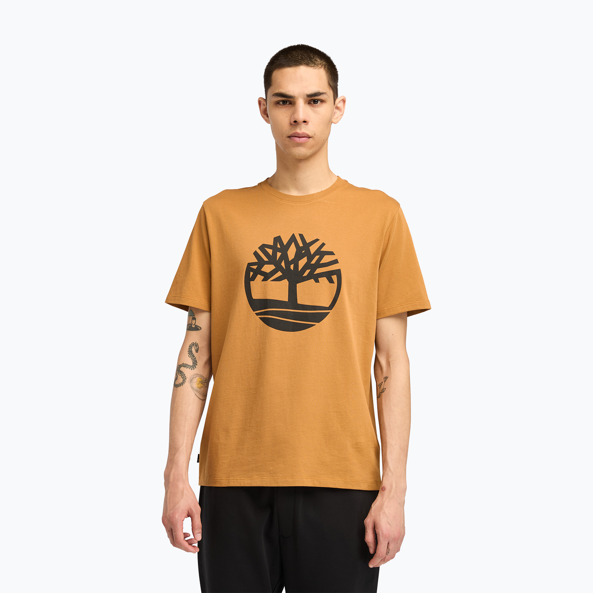 Koszulka męska Timberland Tfo Tree Logo wheat boot 