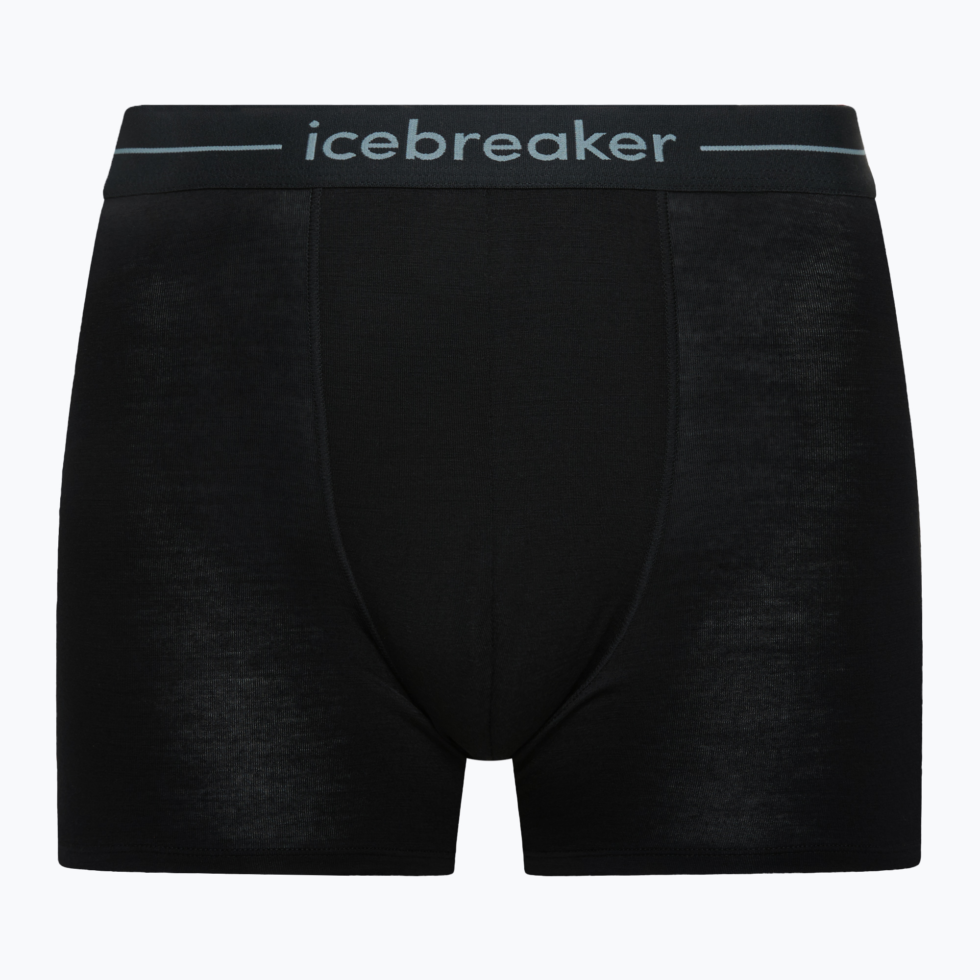 Мъжки термобоксерки Icebreaker Anatomica black