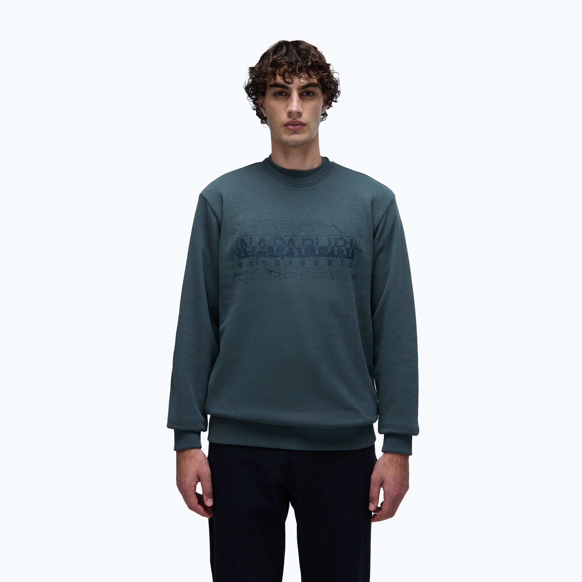 Bluza męska Napapijri B-Albula C green urban 