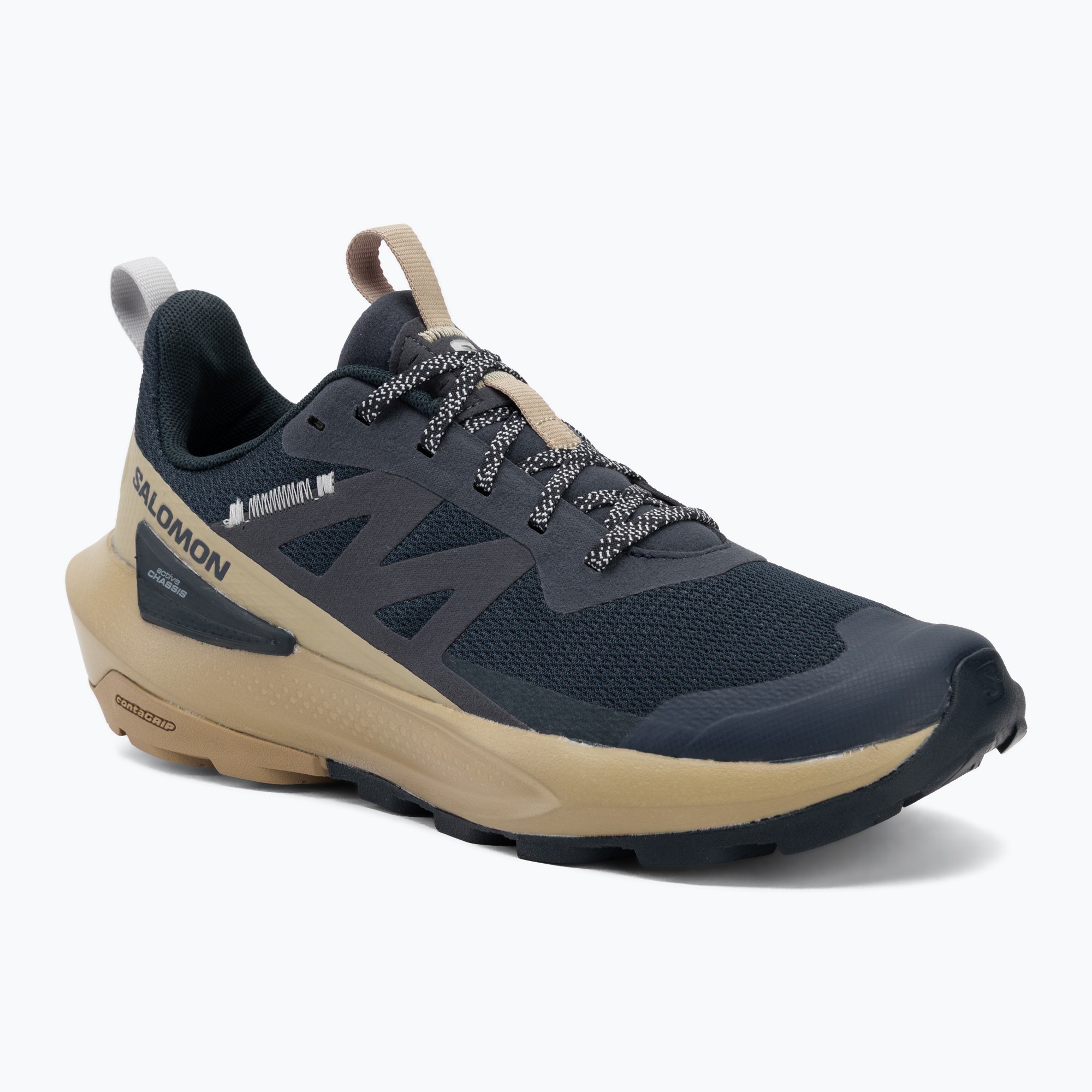 Мъжки туристически обувки Salomon Elixir Activ carbon/slate green/glacier