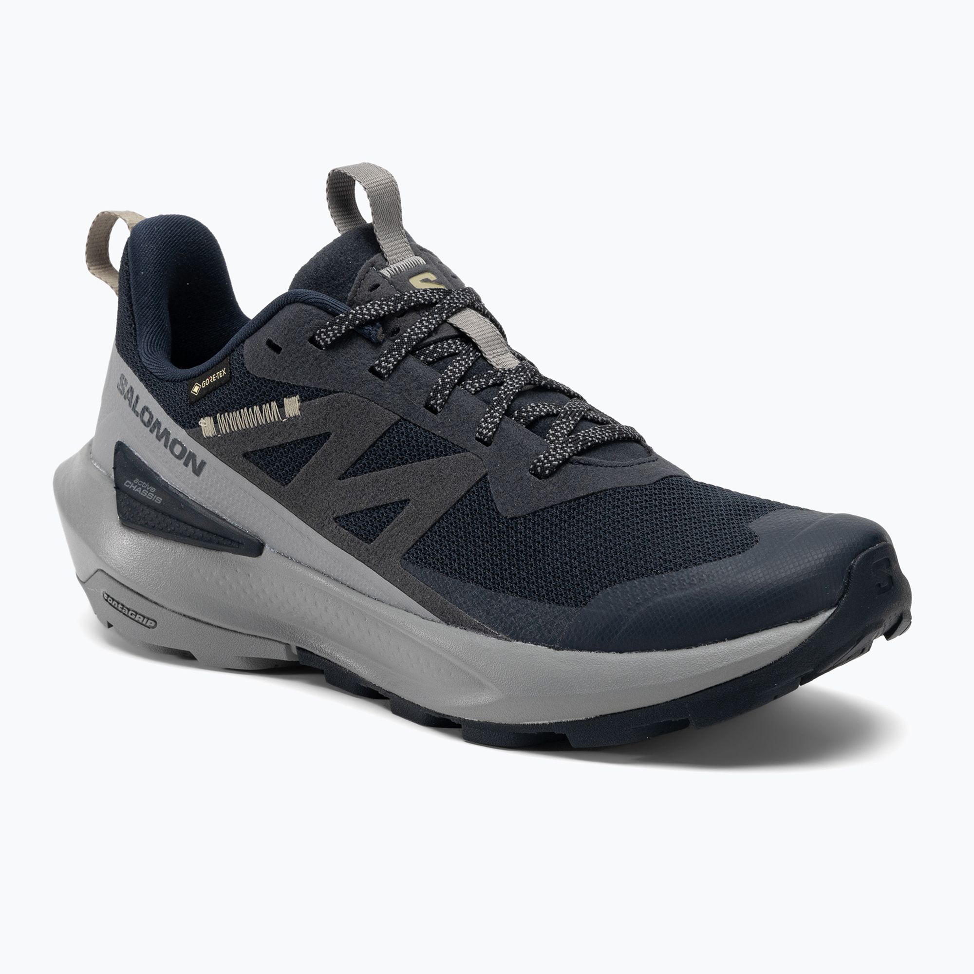 Buty turystyczne męskie Salomon Elixir Activ GTX carbon/sharkskin/slate green 