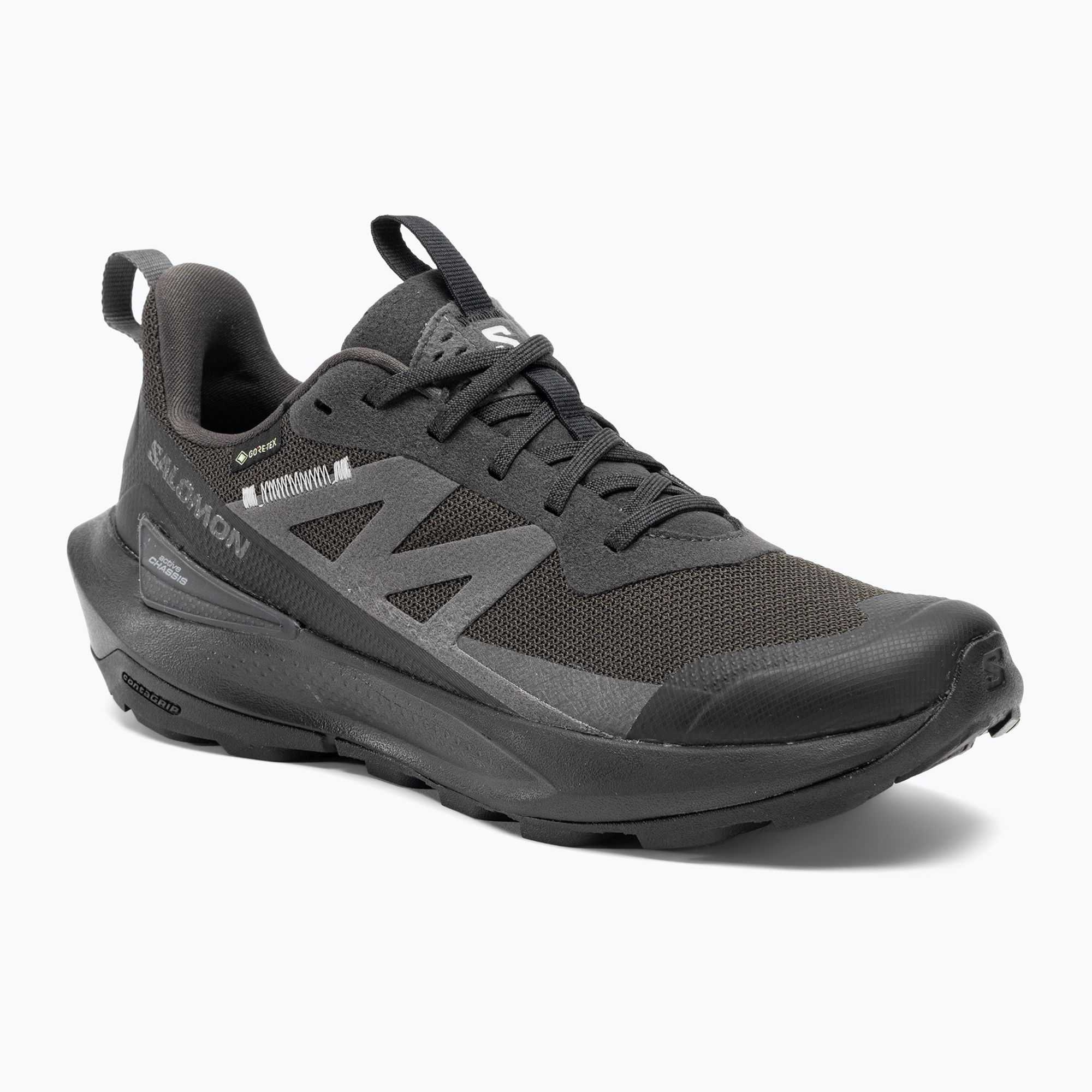 Buty turystyczne męskie Salomon Elixir Activ GTX phantom/black/magnet 
