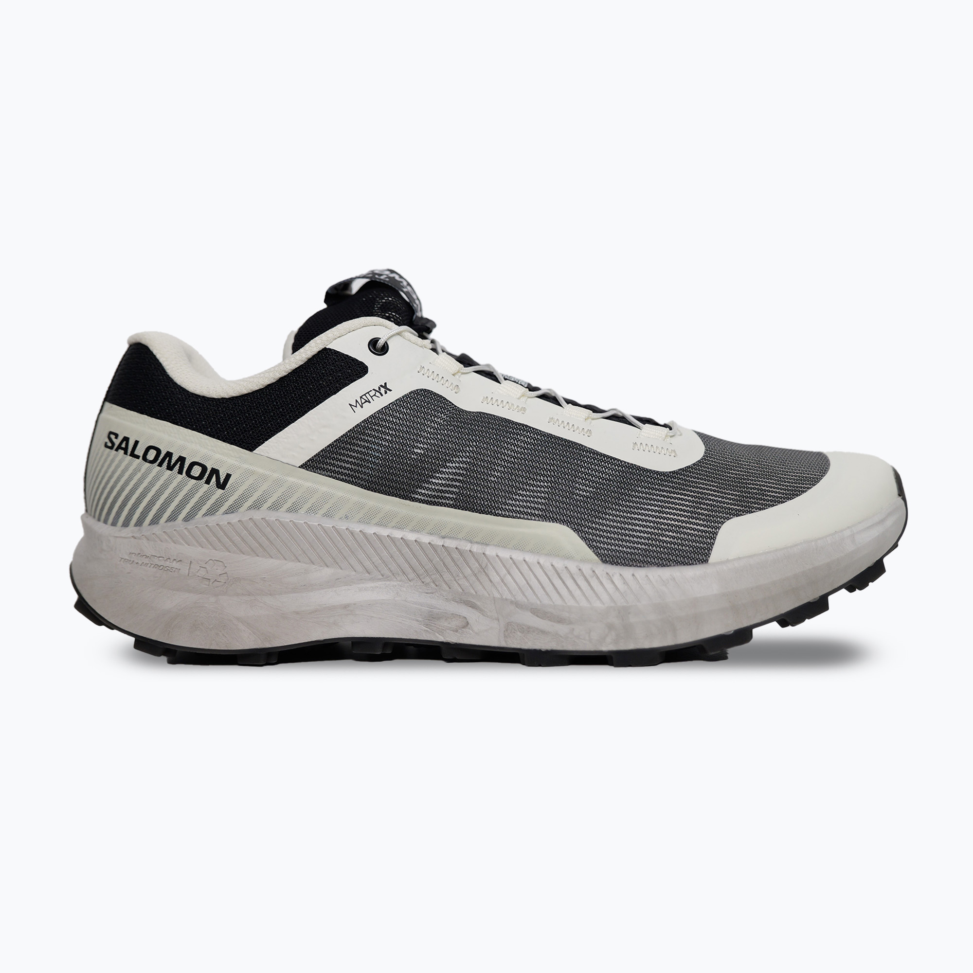 Buty do biegania męskie Salomon Vision vanilla ice/lunar/rock/black 