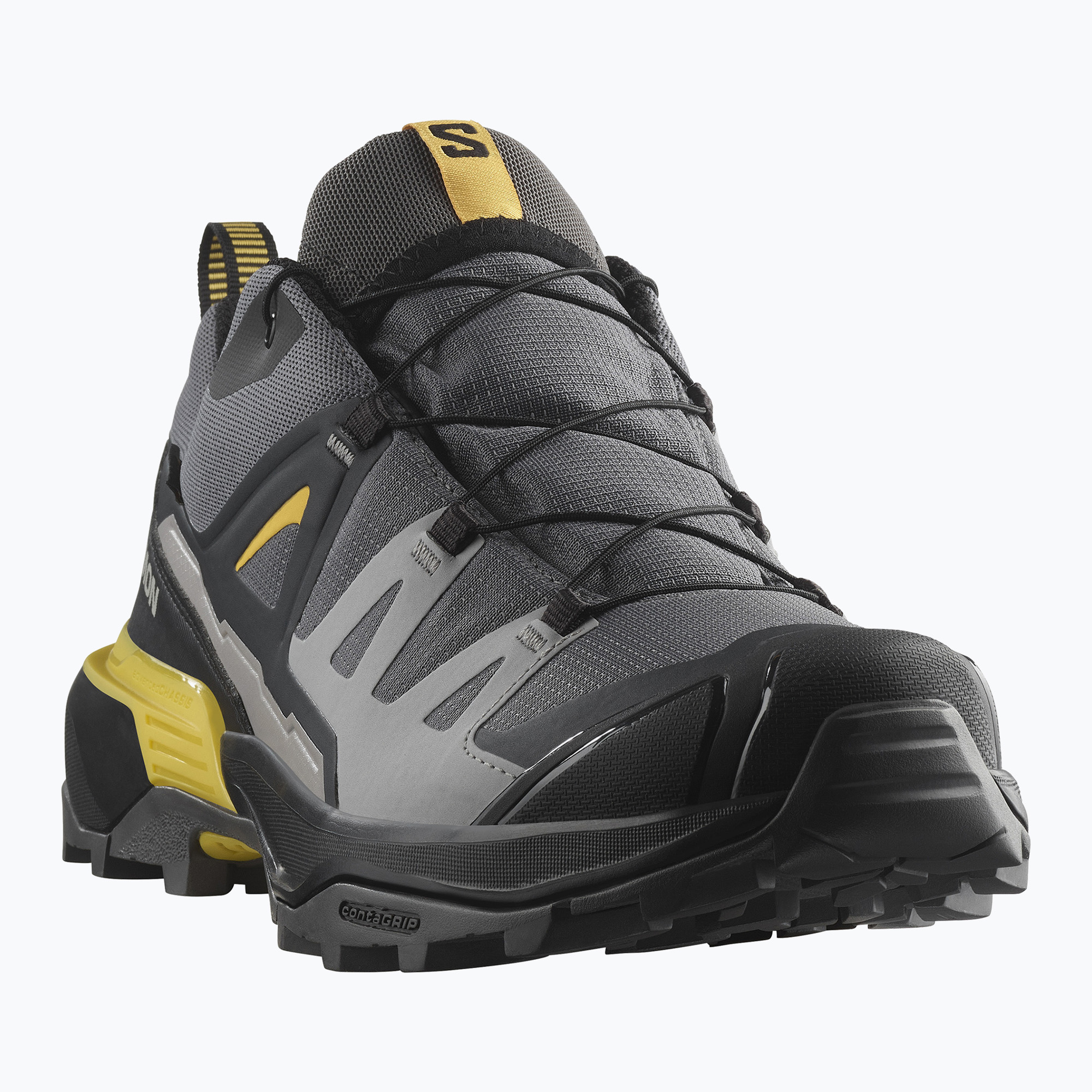 Buty trekkingowe męskie Salomon X Ultra 360 GTX castlerock/black/spicy mustard 