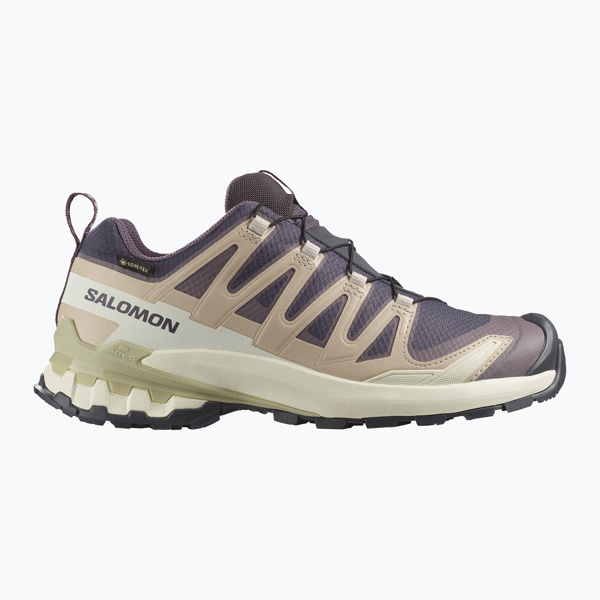 Дамски обувки за бягане Salomon XA Pro 3D V9 GTX nine iron/oxford tan