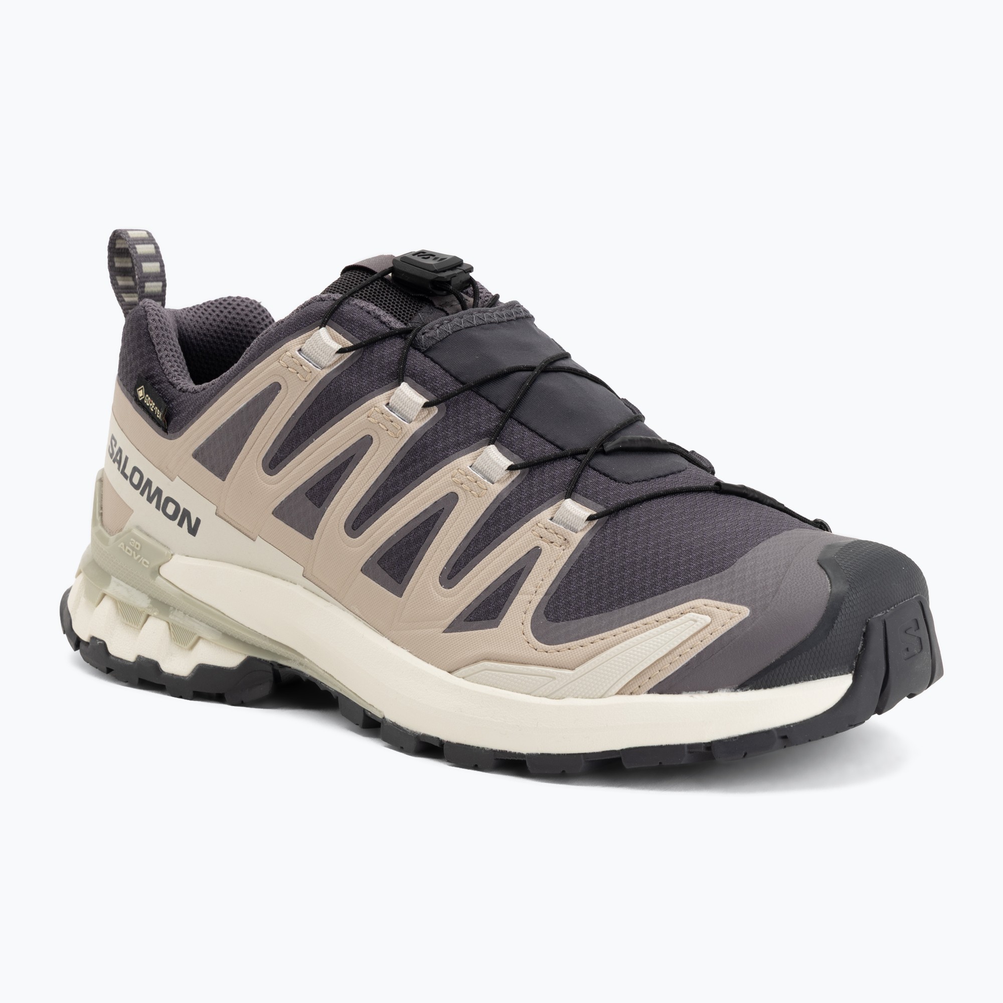 Buty do biegania damskie Salomon XA Pro 3D V9 GTX nine iron/oxford tan