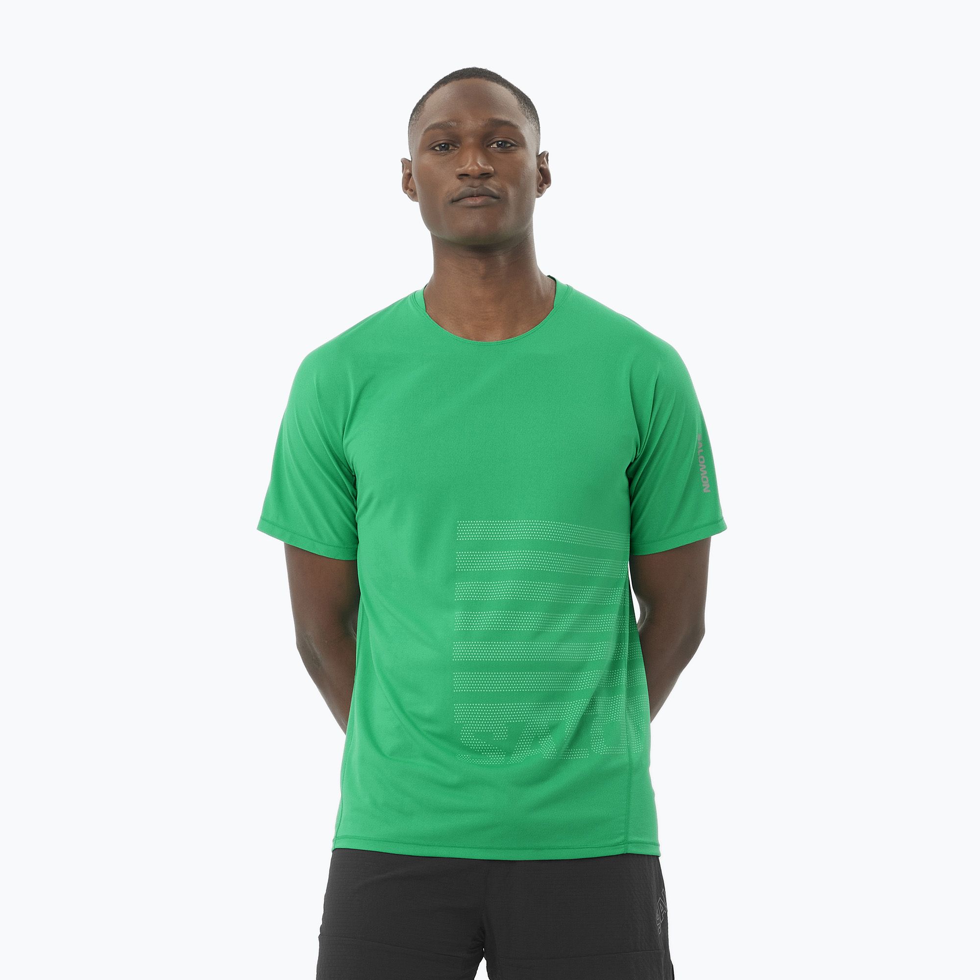 Koszulka do biegania męska Salomon Sense Aero Tee GFX parakeet/spearmintme 