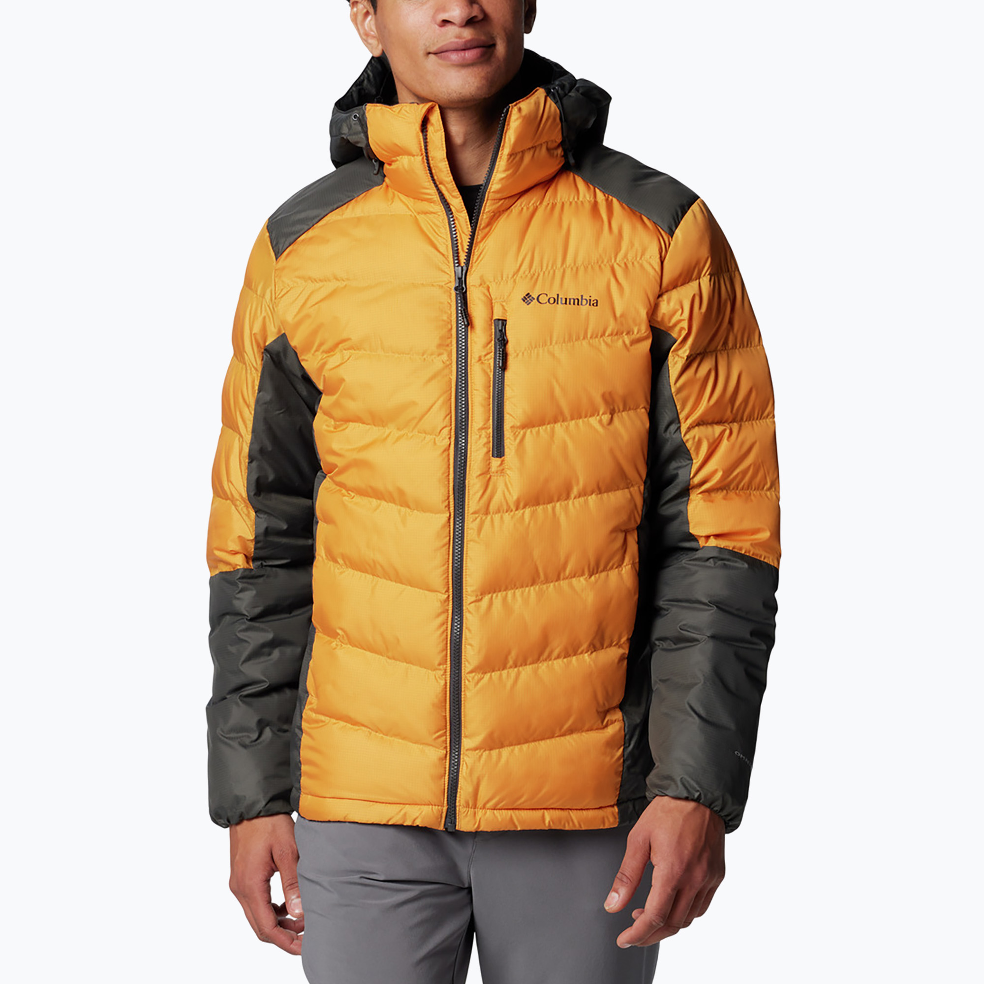 Kurtka męska Columbia Labyrinth Loop II Hooded sunstone/ shark 