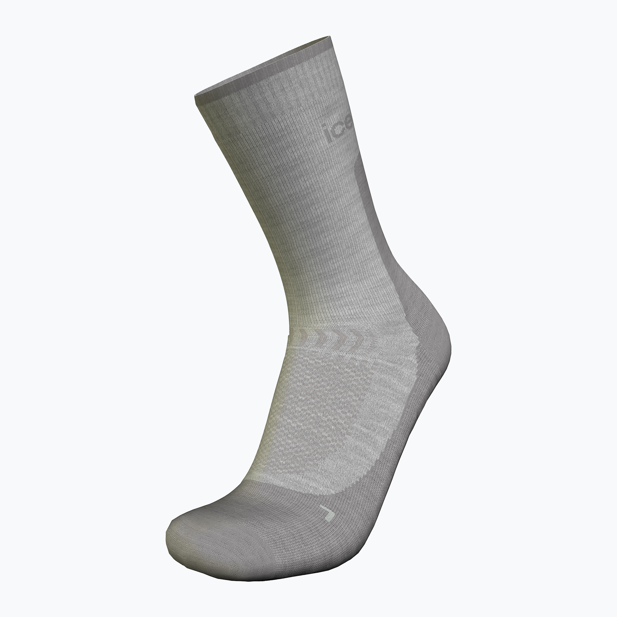 Skarpety męskie icebreaker Merino Hike+ Light Crew ether/alloy 