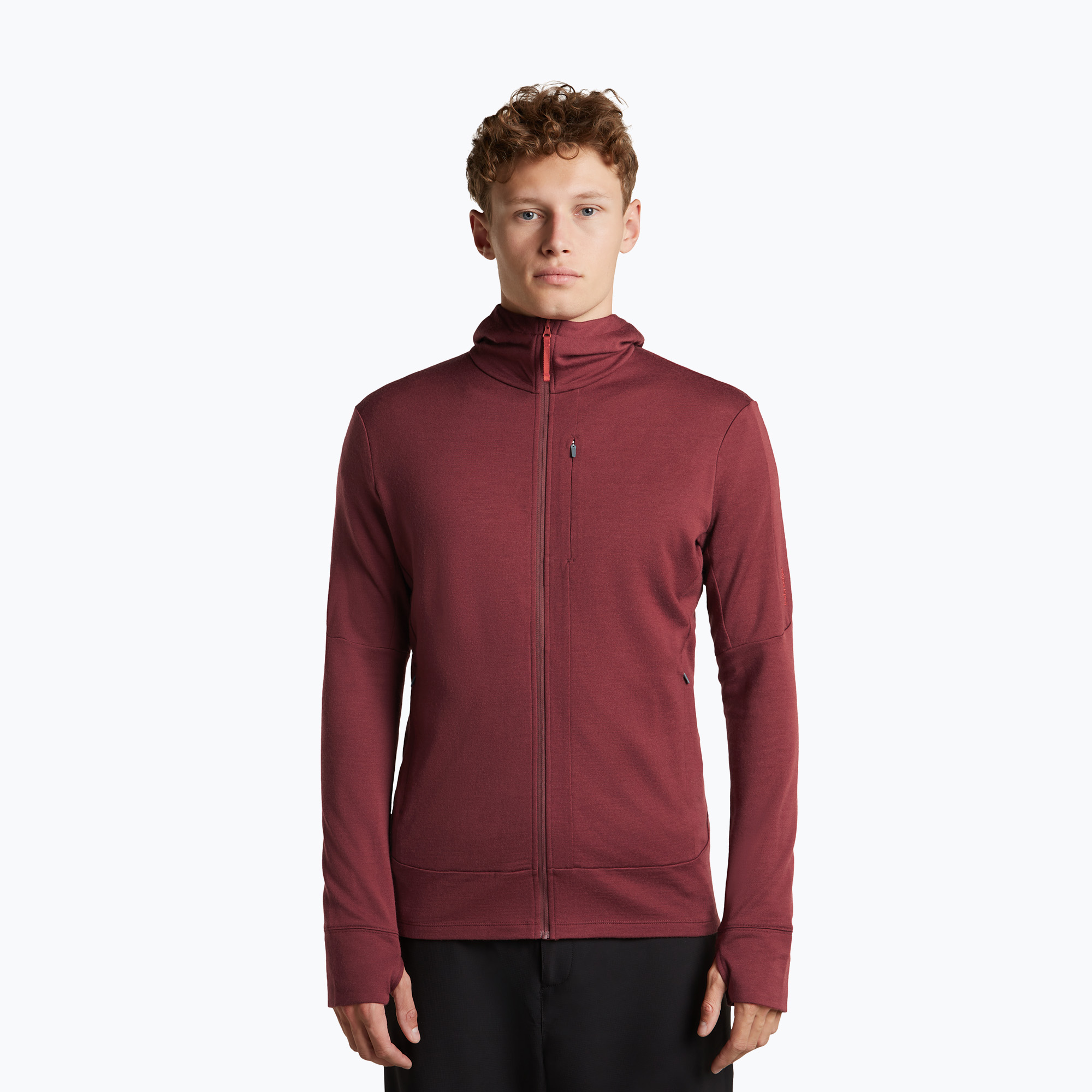 Pánska mikina Icebreaker Merino 260 Quantum IV LS Zip Hoodie port/agate