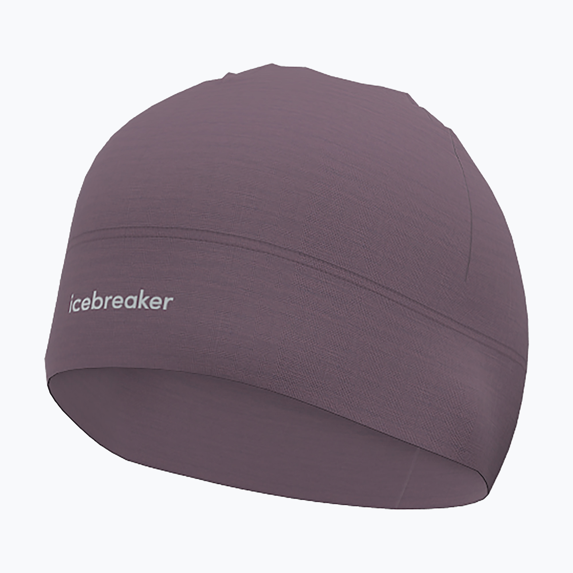 Czapka zimowa icebreaker Merino 200 Oasis Beanie grey plum 