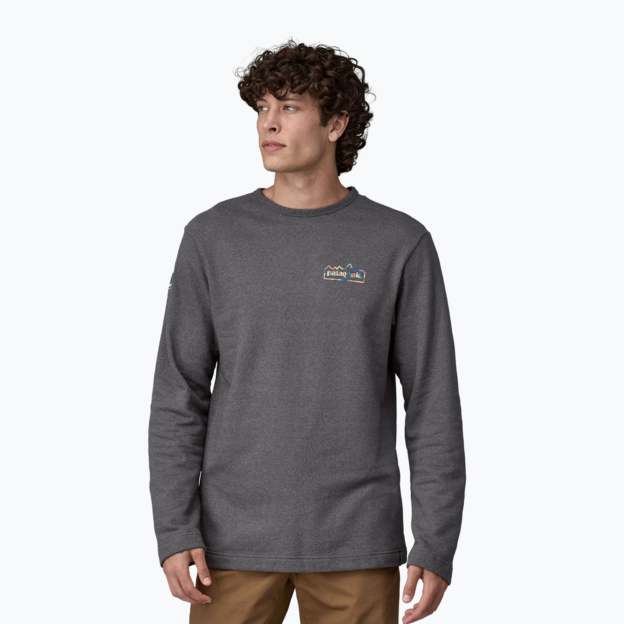 Bluza męska Patagonia Lightweight Unity Fitz Wildrise Crew ink black 