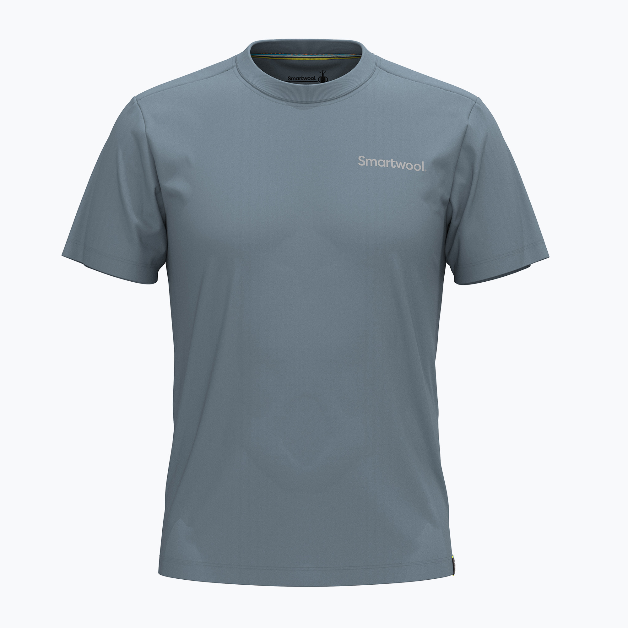 Koszulka Smartwool Nature's Vibes Graphic Short Sleeve Tee Slim Fit pewter blue 