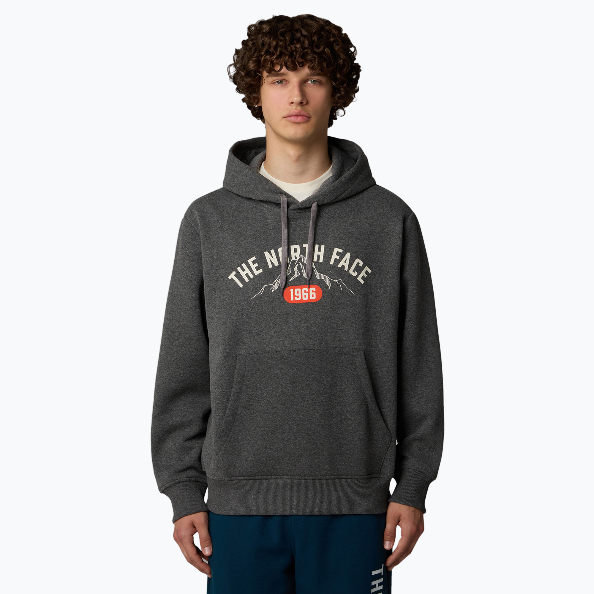 Bluza męska The North Face Varsity Graphic medium grey heather 