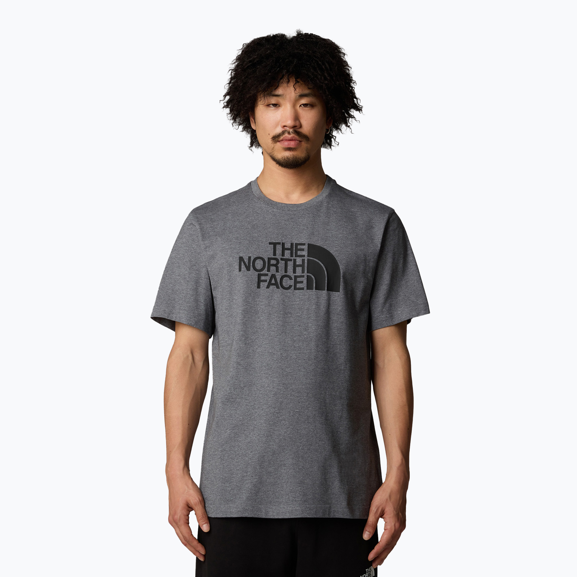 Koszulka męska The North Face Easy tnf medium grey heather 