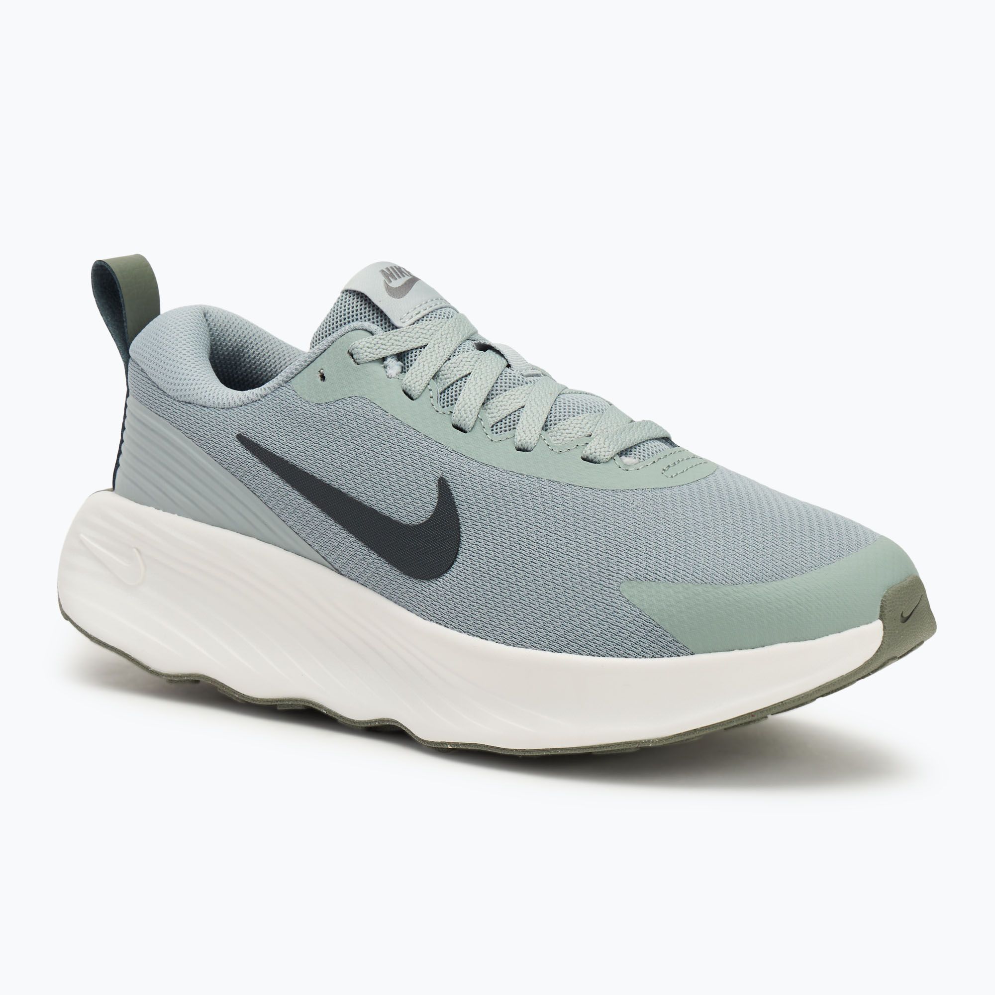 Buty męskie Nike Promina light pumice/dark stucco/summit white/anthracite 