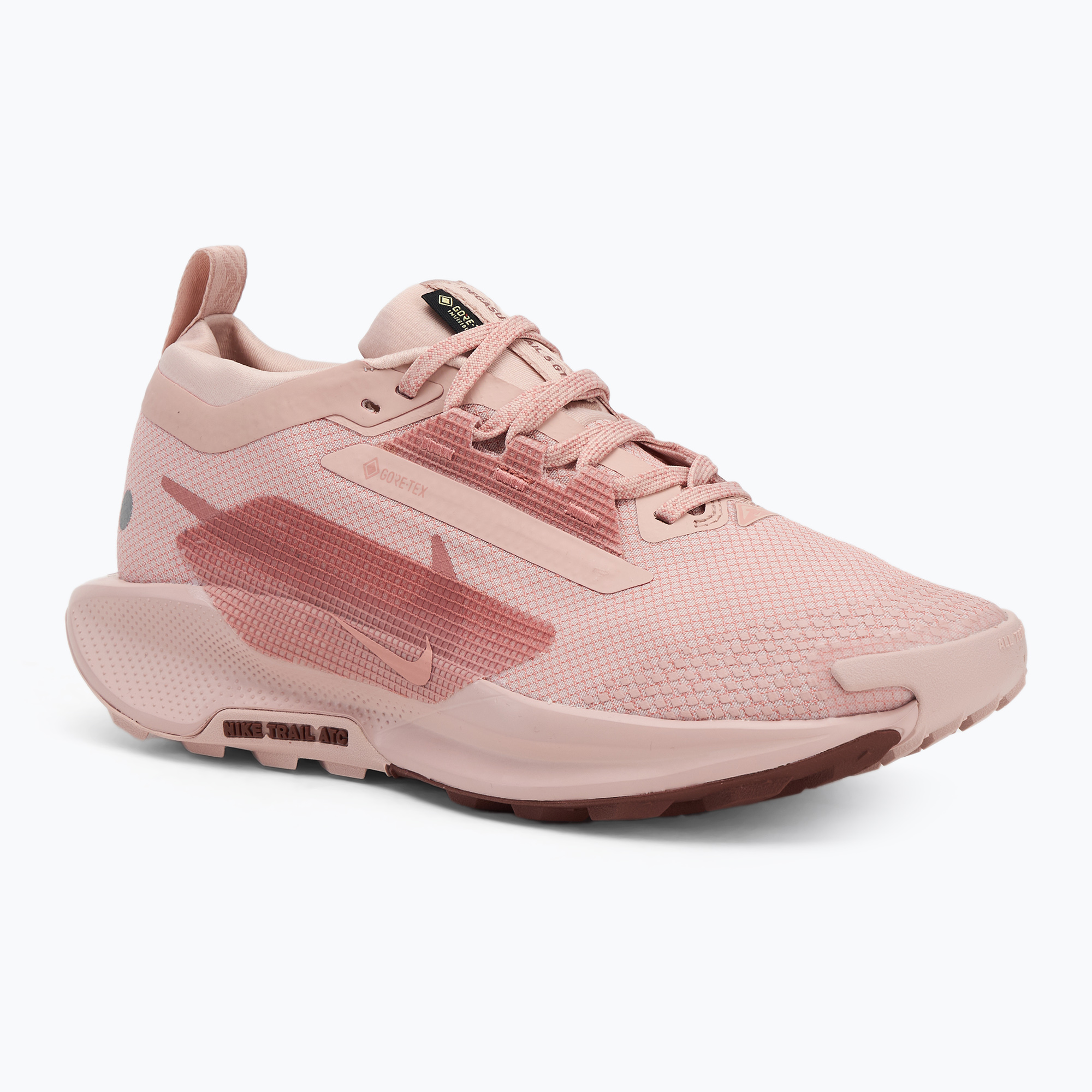 Buty do biegania damskie Nike Pegasus Trail 5 GTX pink oxford/ red stardust/ red sepia 