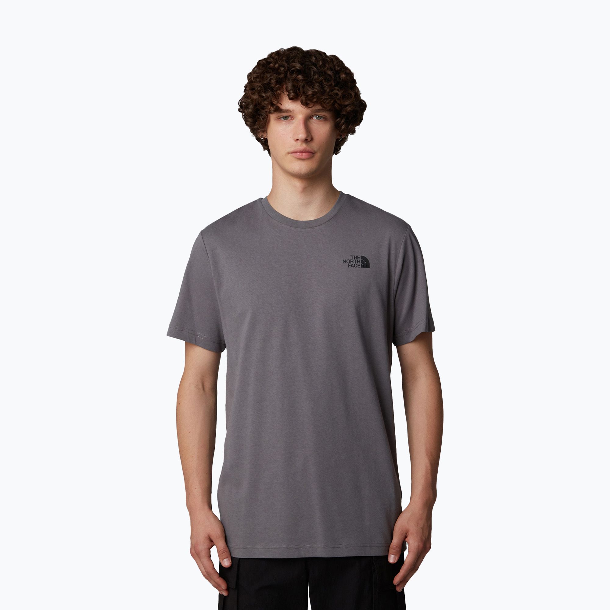 Koszulka męska The North Face Redbox Celebration smoked pearl 