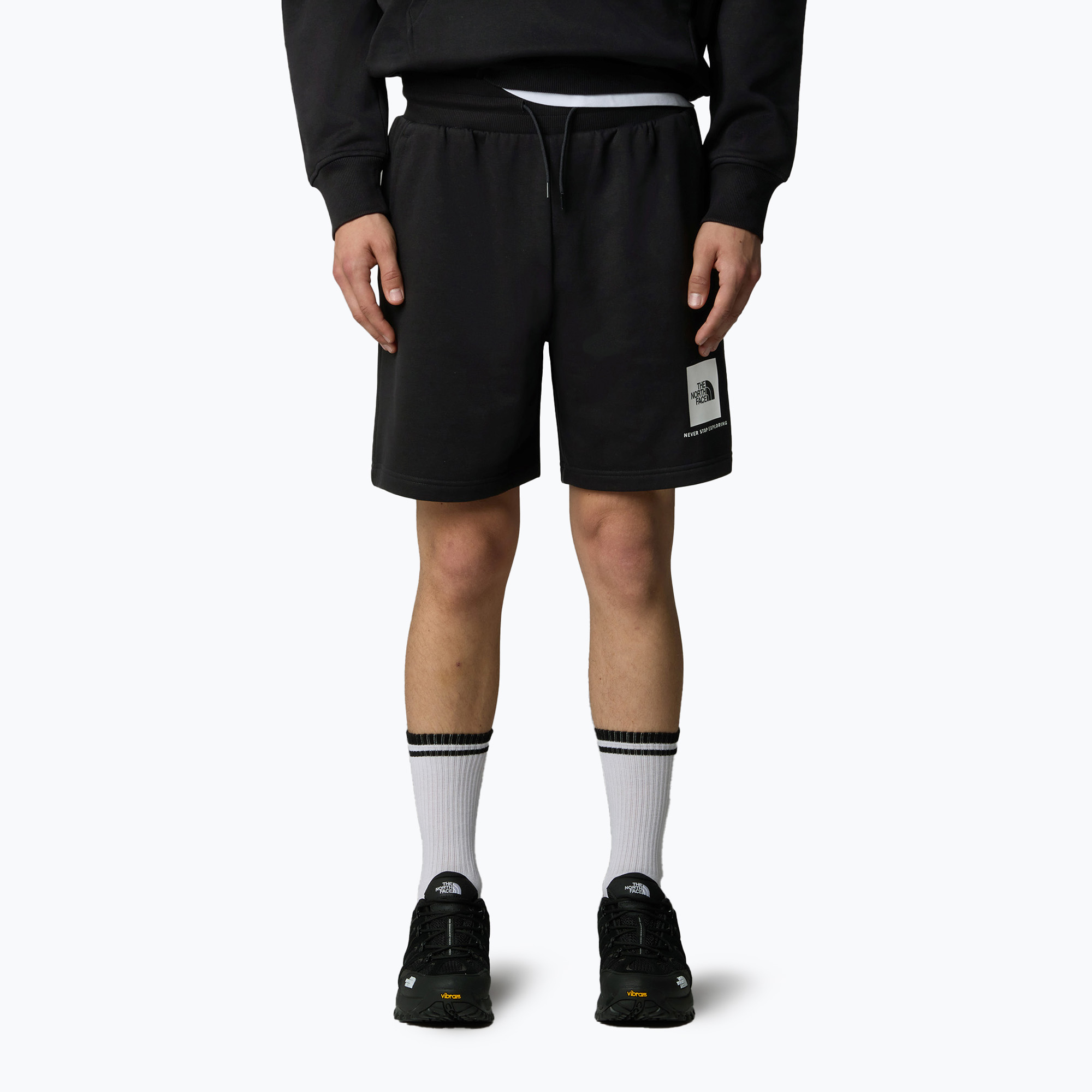 Spodenki trekkingowe męskie The North Face Box Nse Regular tnf black/tnf white 