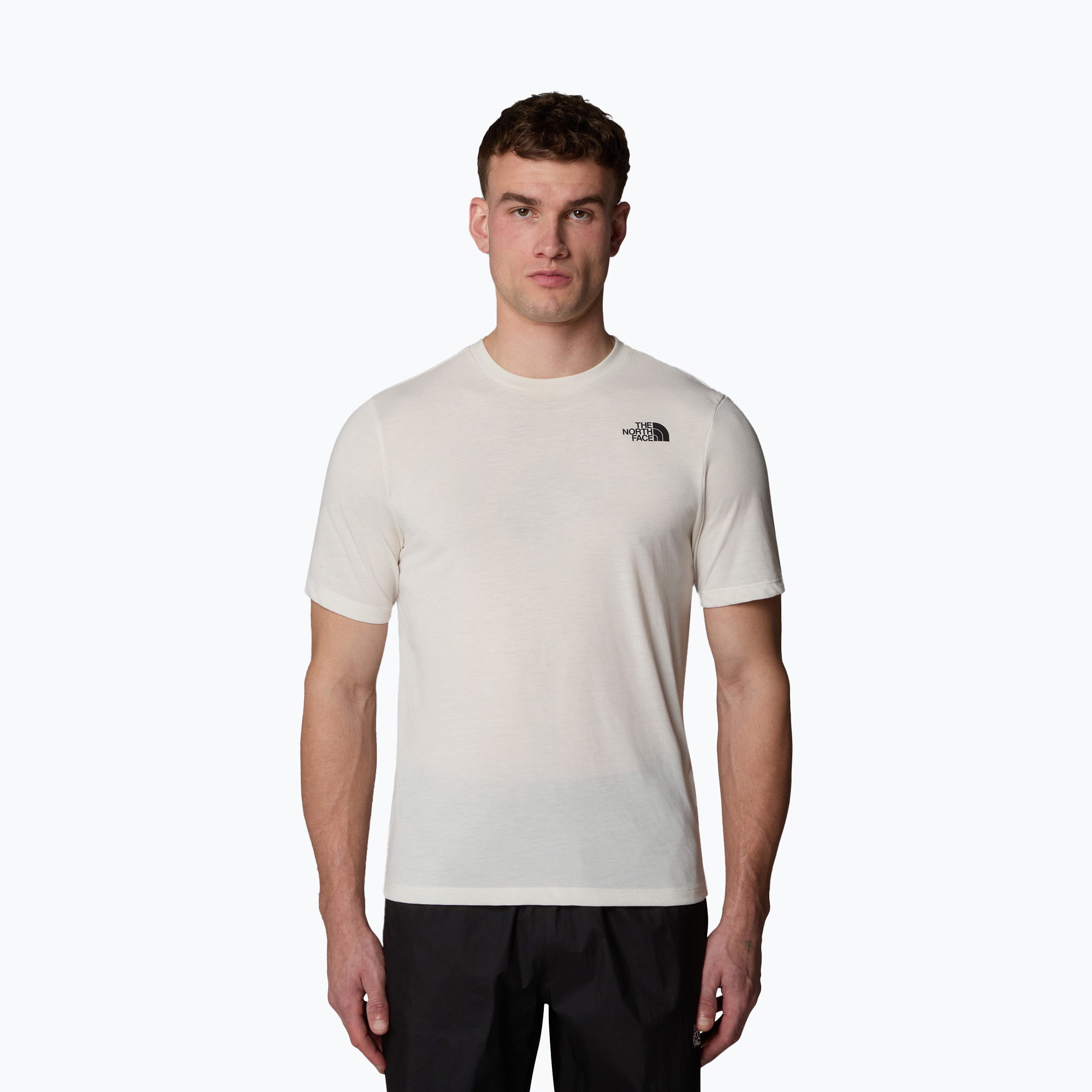 Koszulka męska The North Face Foundation Mountains Faces Tee white dune 