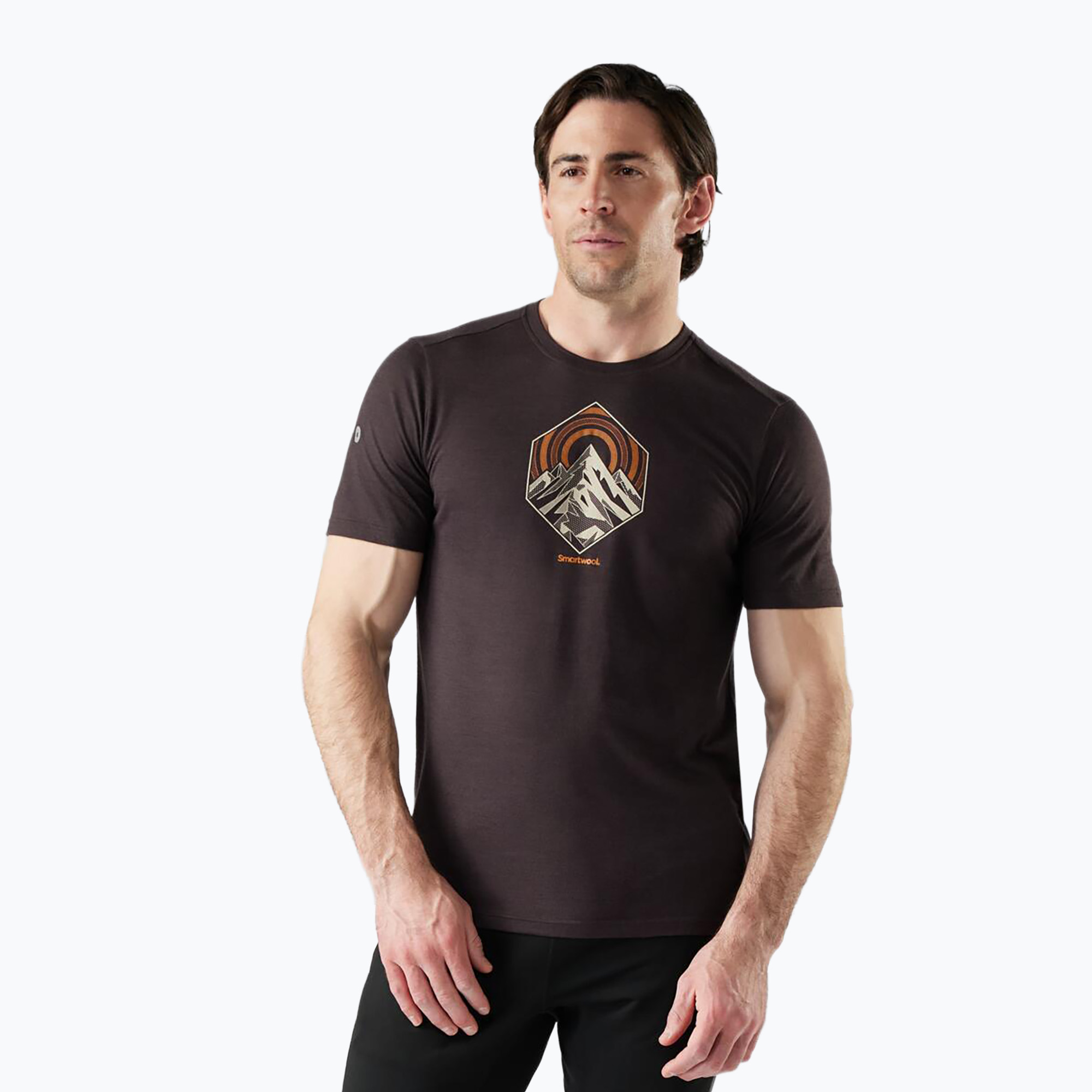 Koszulka trekkingowa męska Smartwool Peak Energy Active Graphic mink heather 