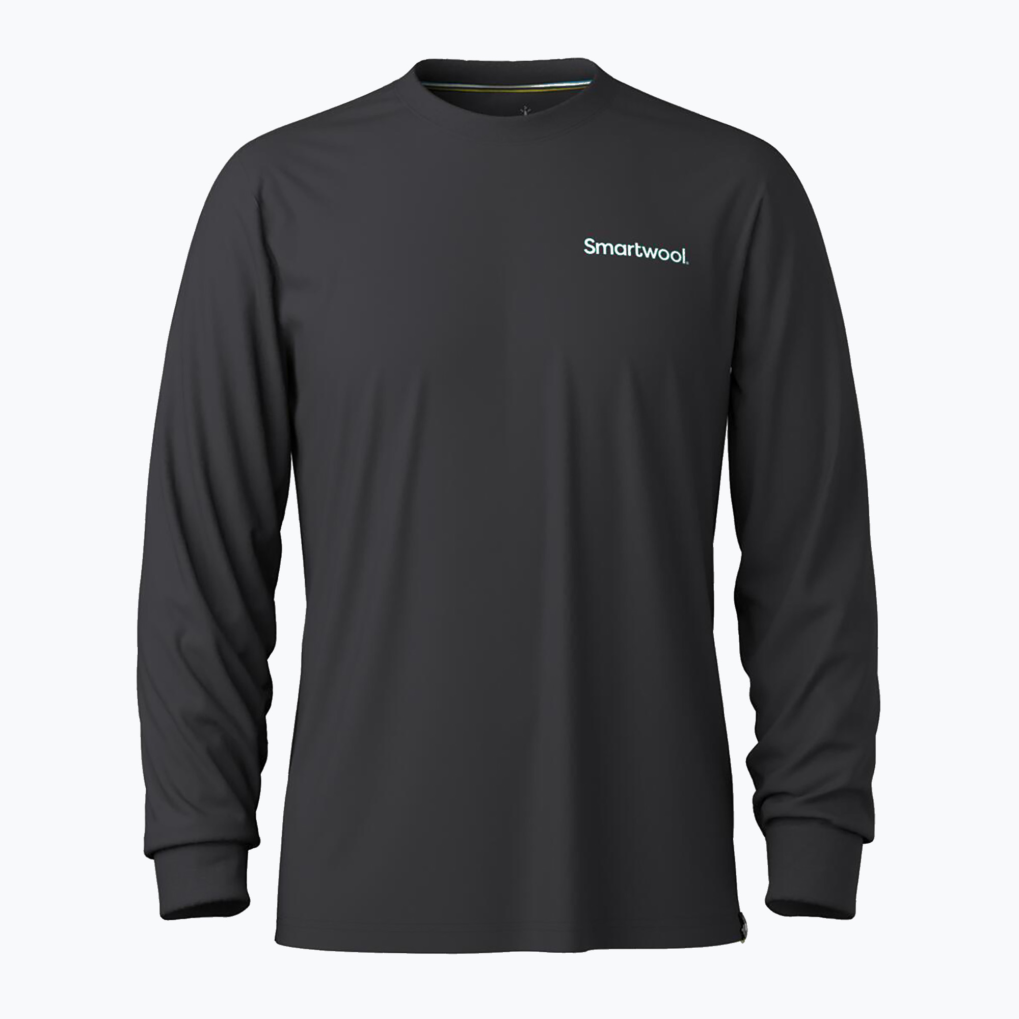 Longsleeve męski Smartwool Gondola View Graphic Tee black 