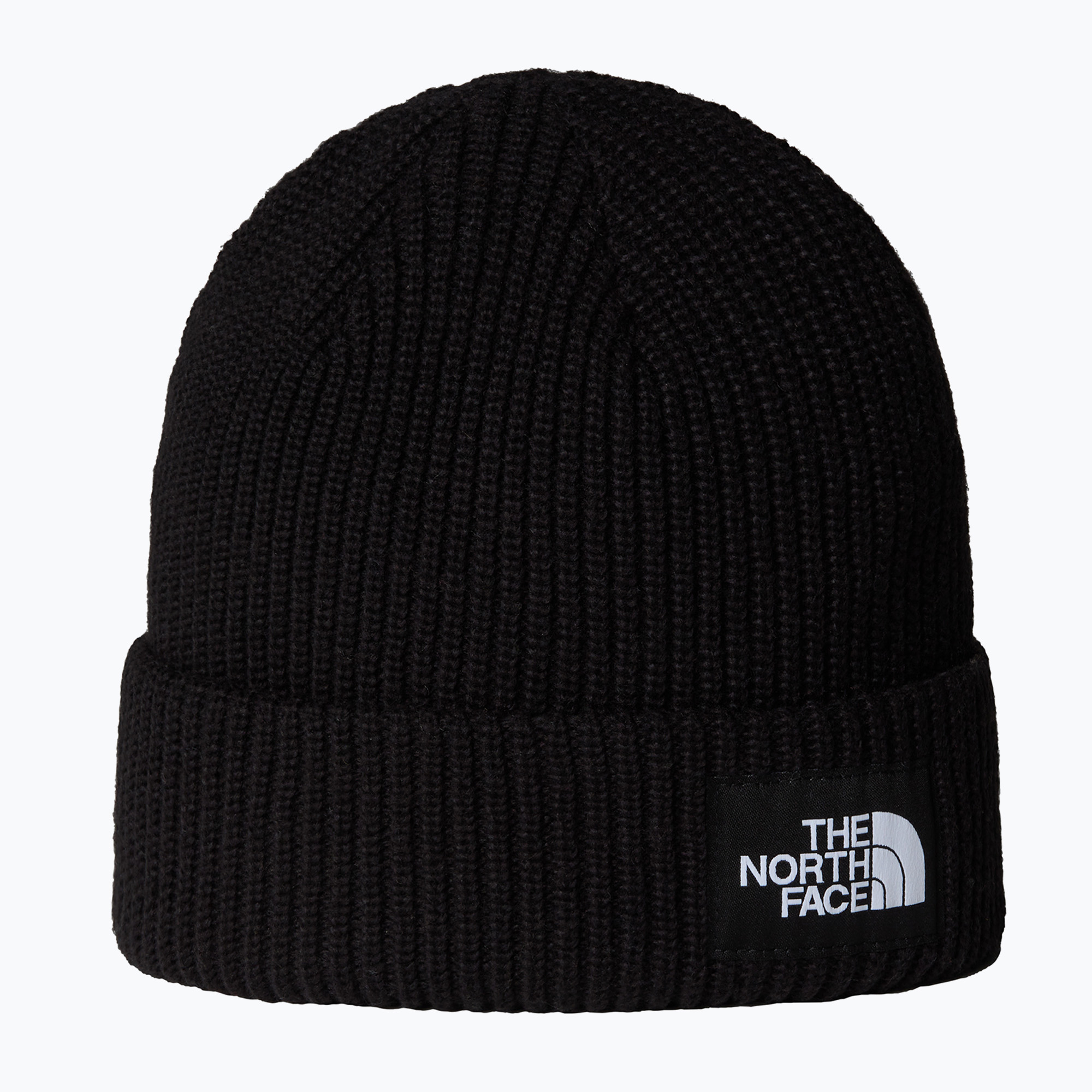 Czapka zimowa The North Face Salty Lined 