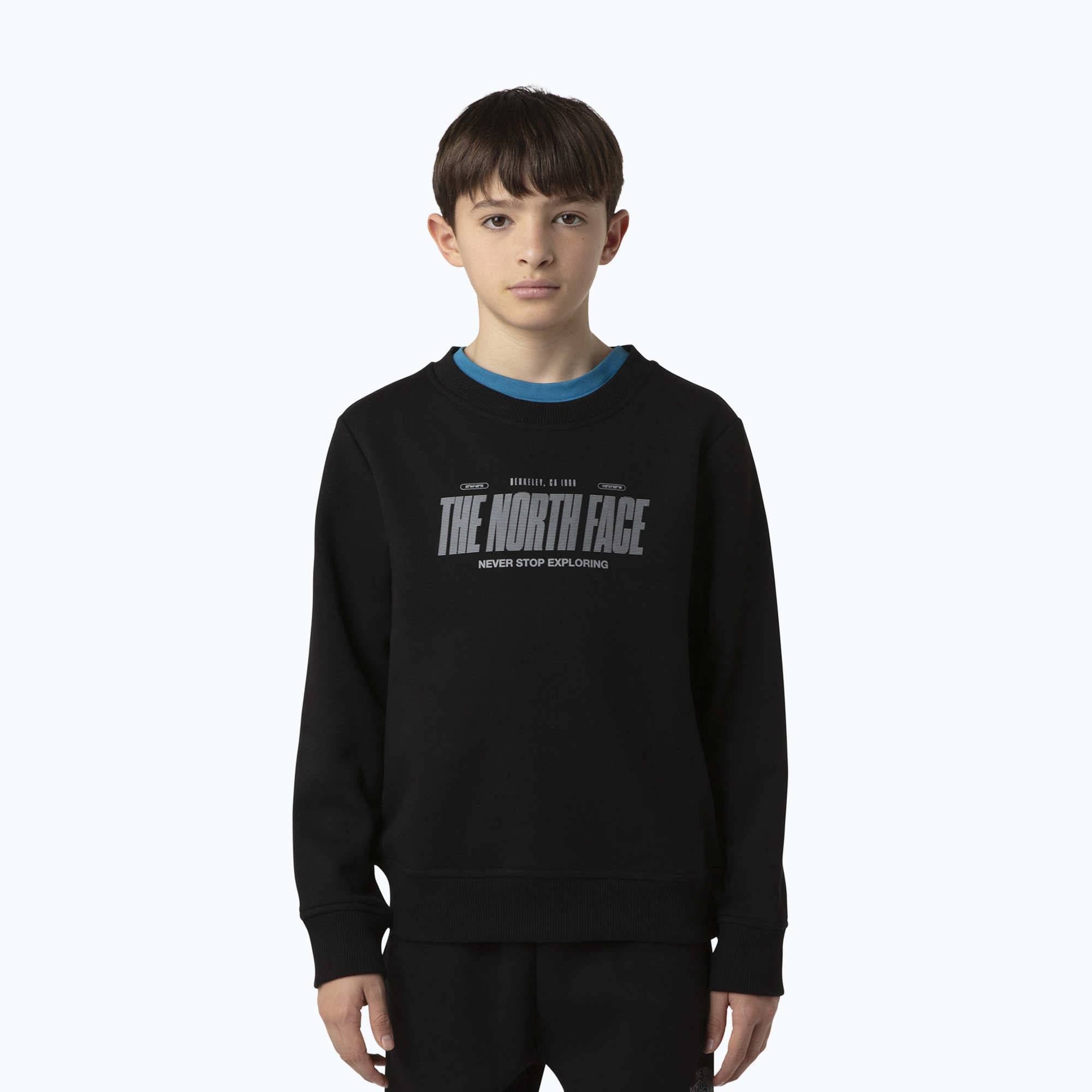 Bluza męska The North Face Reflective Logo Relaxed Crew black 