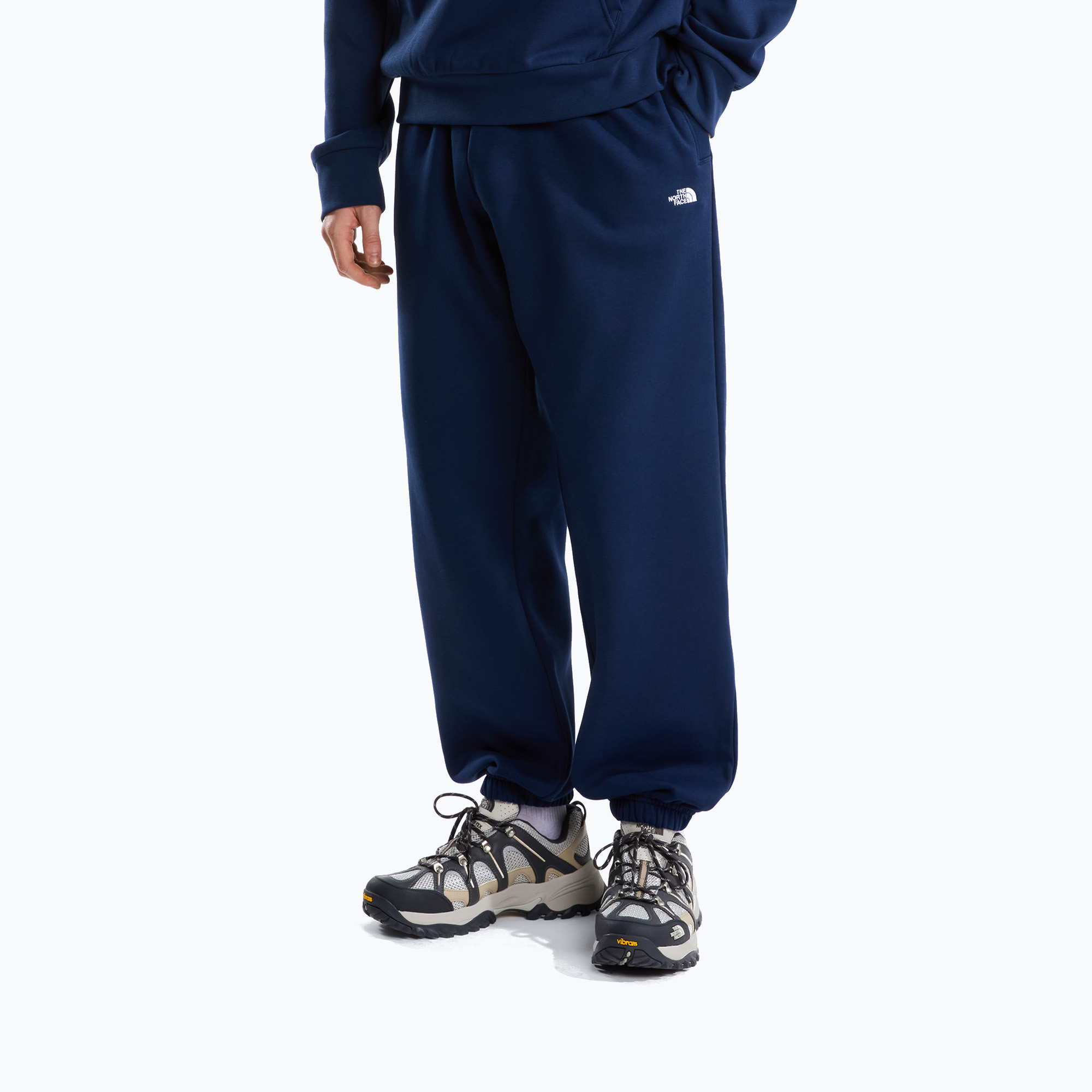 Мъжки суитшърт The North Face Evolution Simple Dome Regular Hoodie summit navy