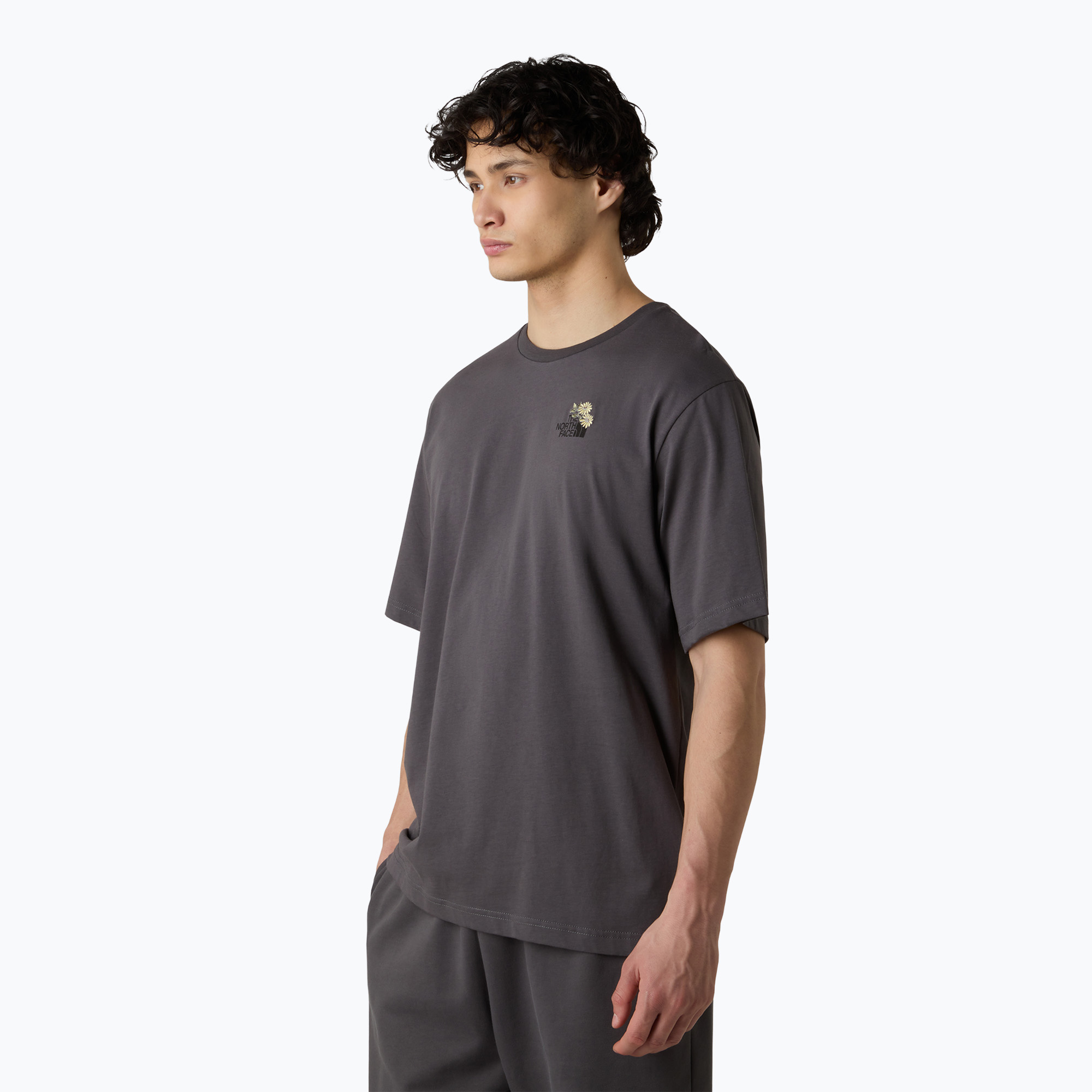 Koszulka męska The North Face Flower Dome Relaxed Graphic anthracite grey 