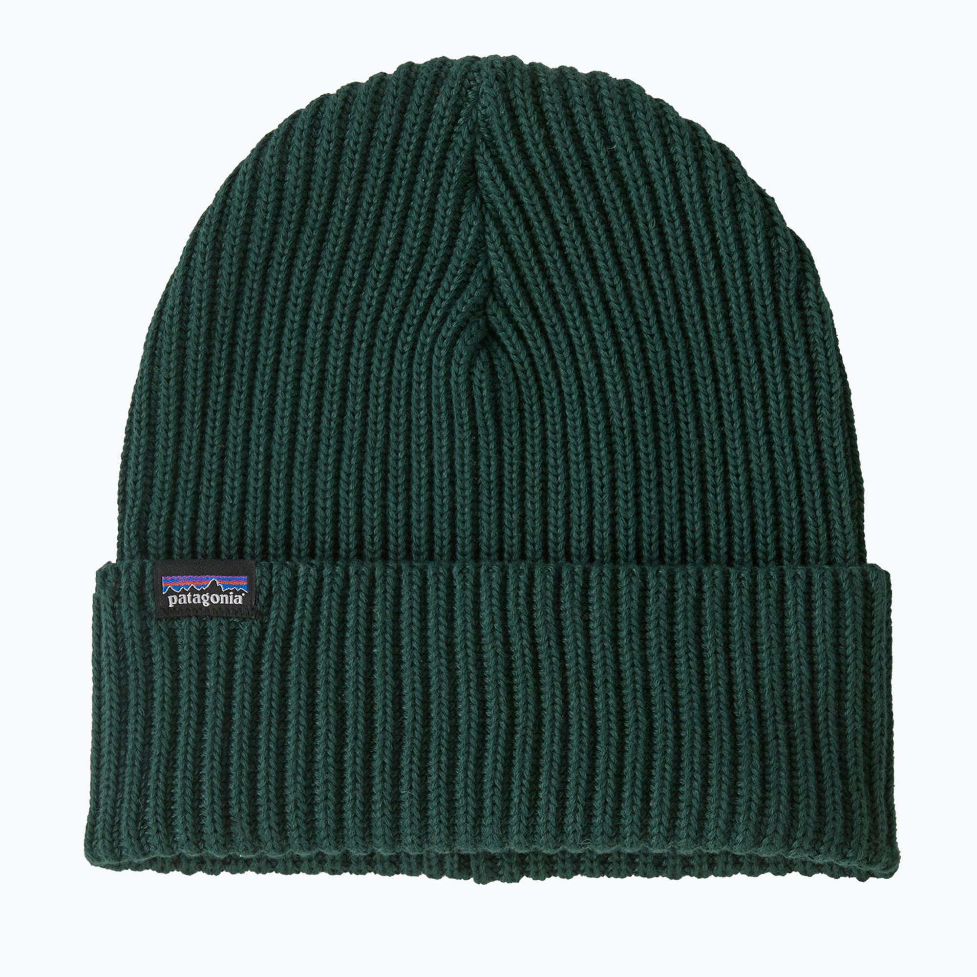 Czapka zimowa Patagonia Fishermans Rolled Beanie cascade green 