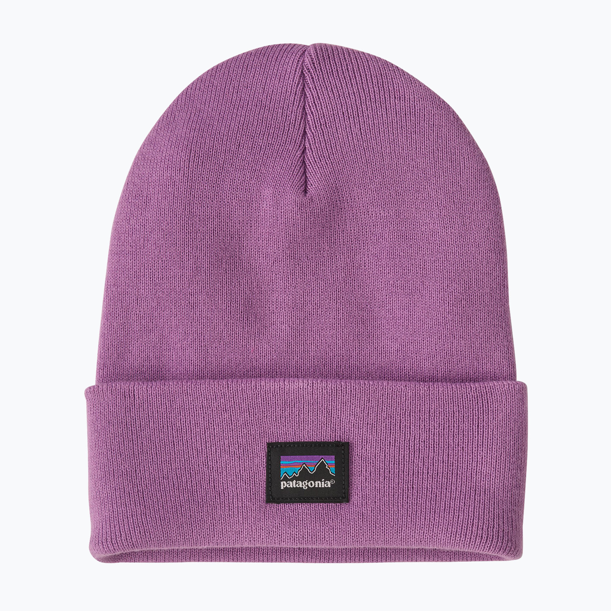 Czapka zimowa Patagonia Everyday Beanie brisk purple 