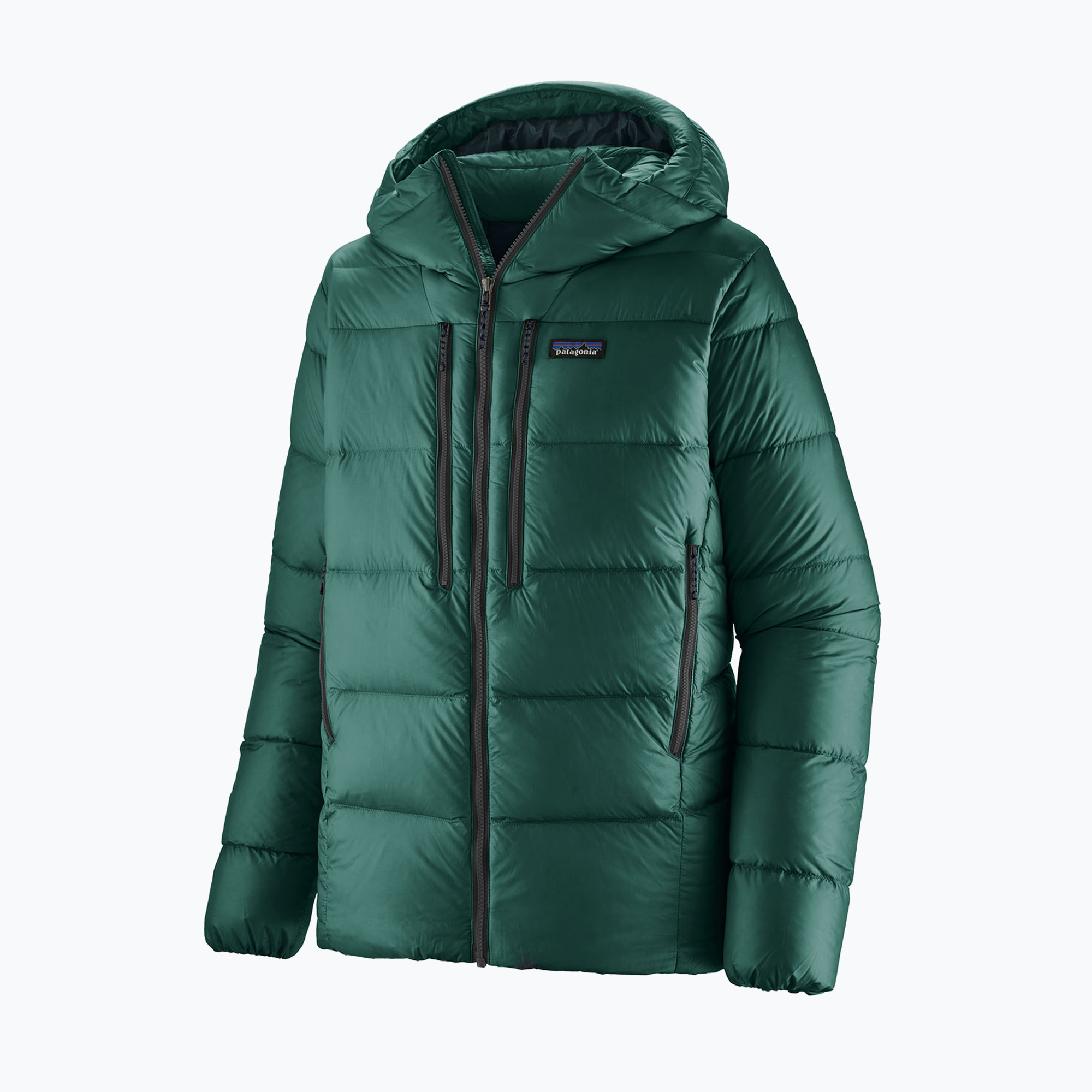 Kurtka puchowa męska Patagonia Fitz Roy Down Hoody cascade green 