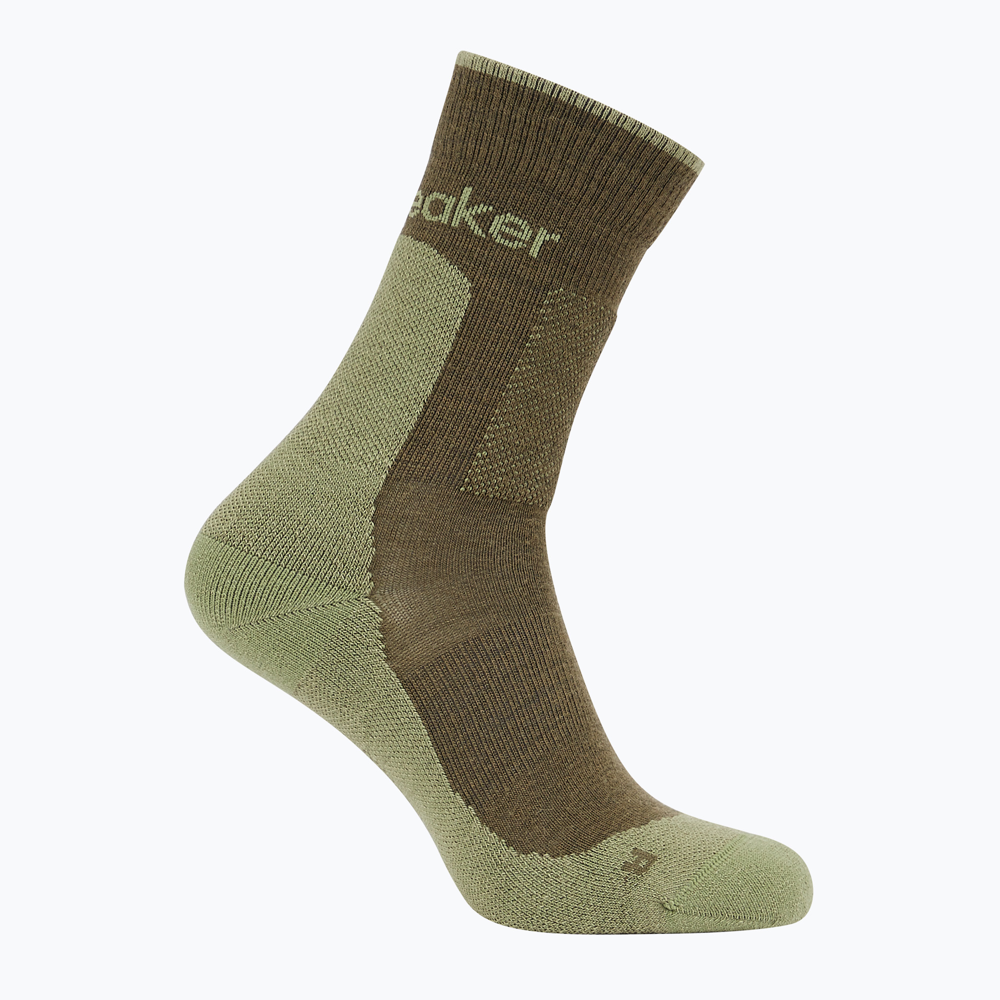 Skarpety męskie icebreaker Merino Hike+ Medium Crew loden/lichen 