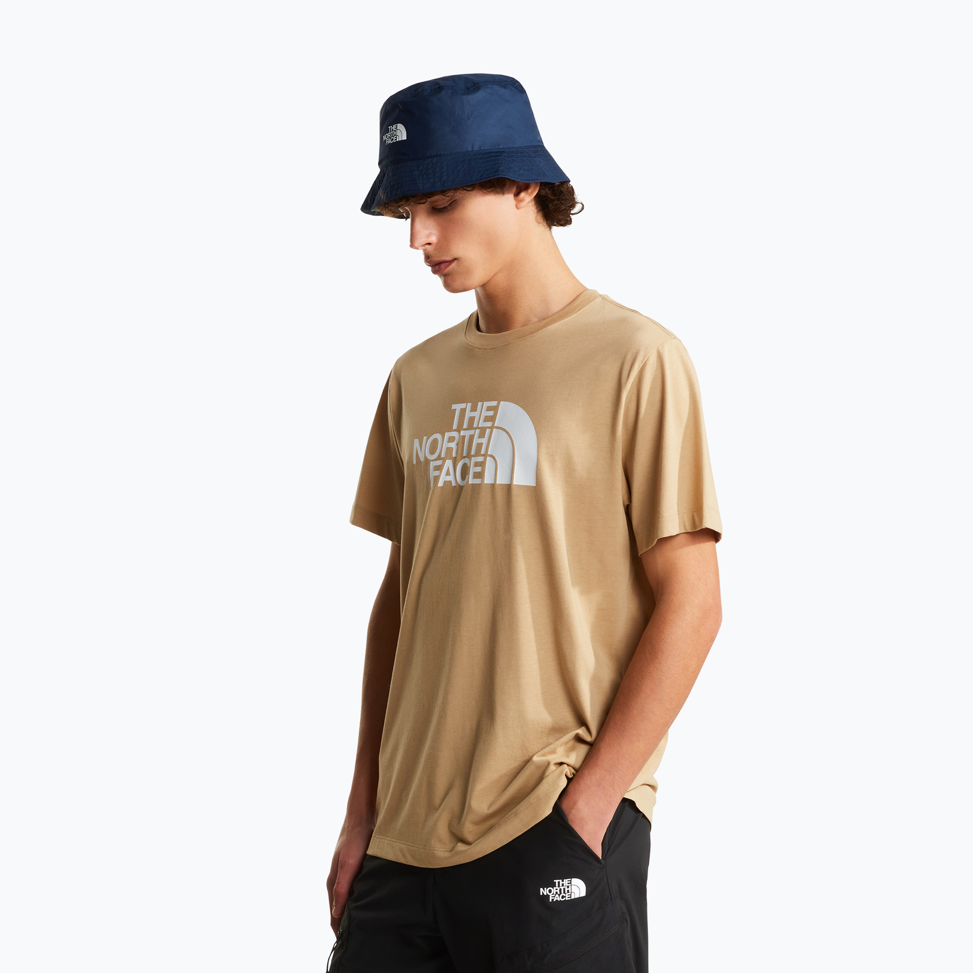 Tricou pentru bărbați The North Face Evolution Half Dome khaki stone