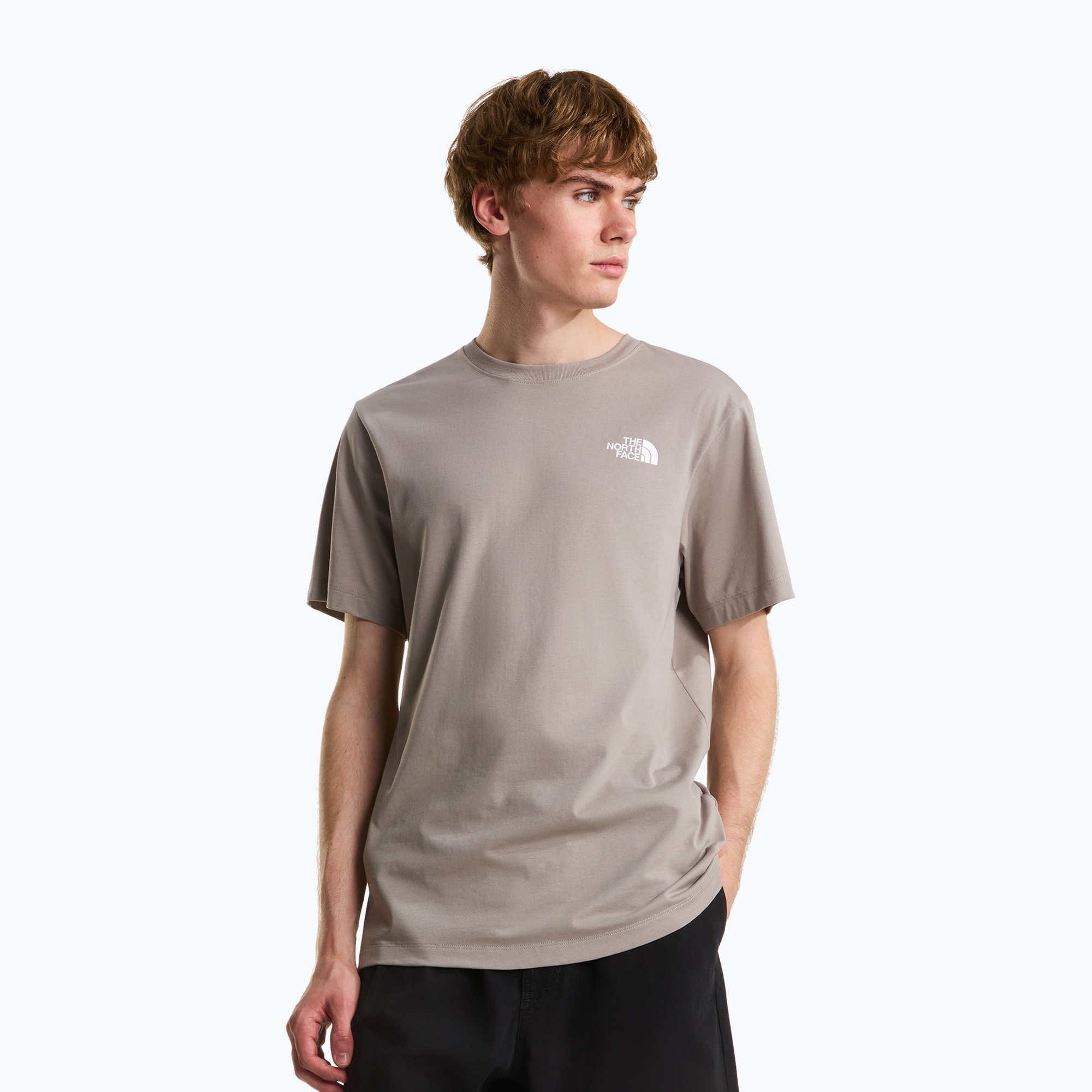 Tricou pentru bărbați The North Face Evolution Box NSE stone slab