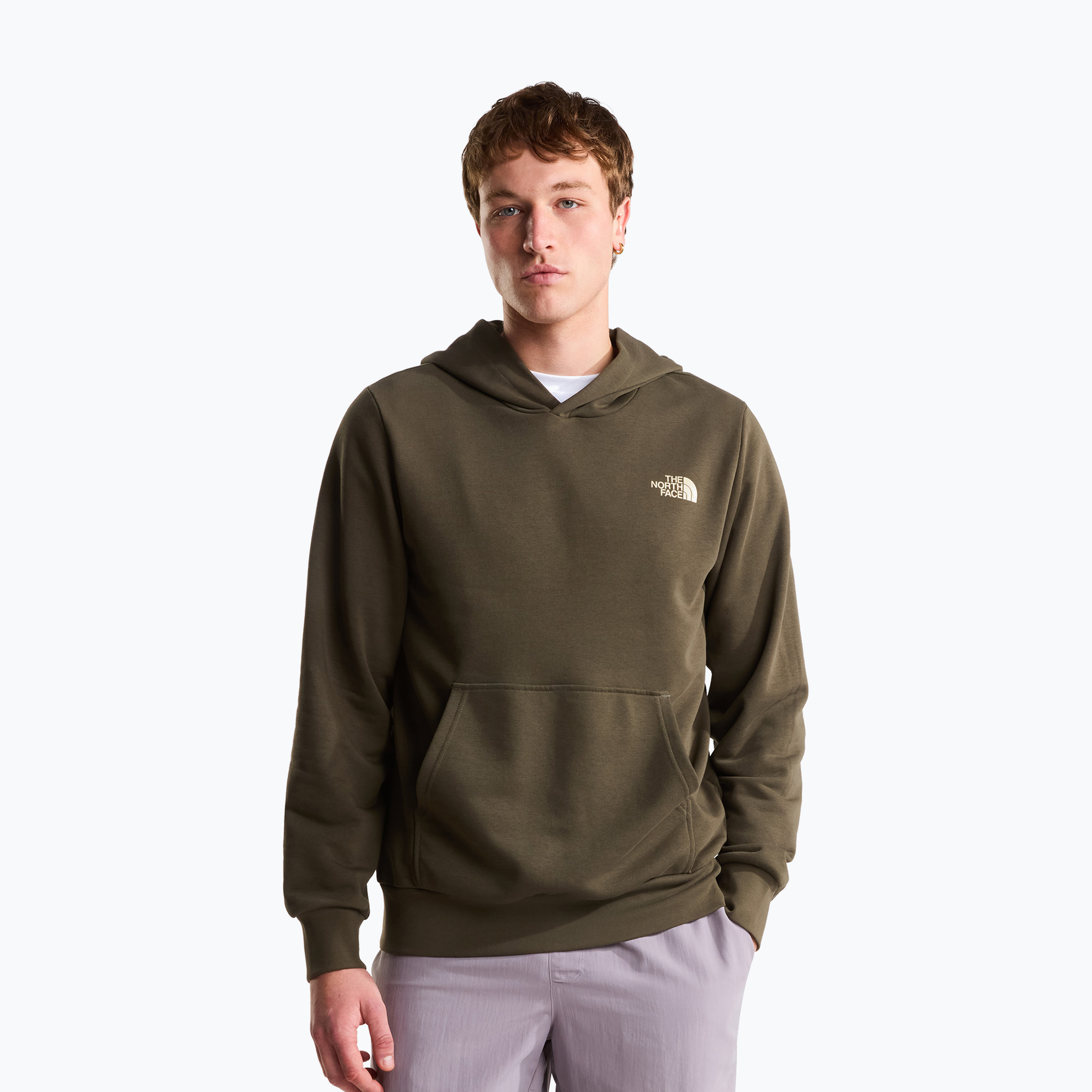 Bluza męska The North Face Monte Regular Hoodie Graphic new taupe green 
