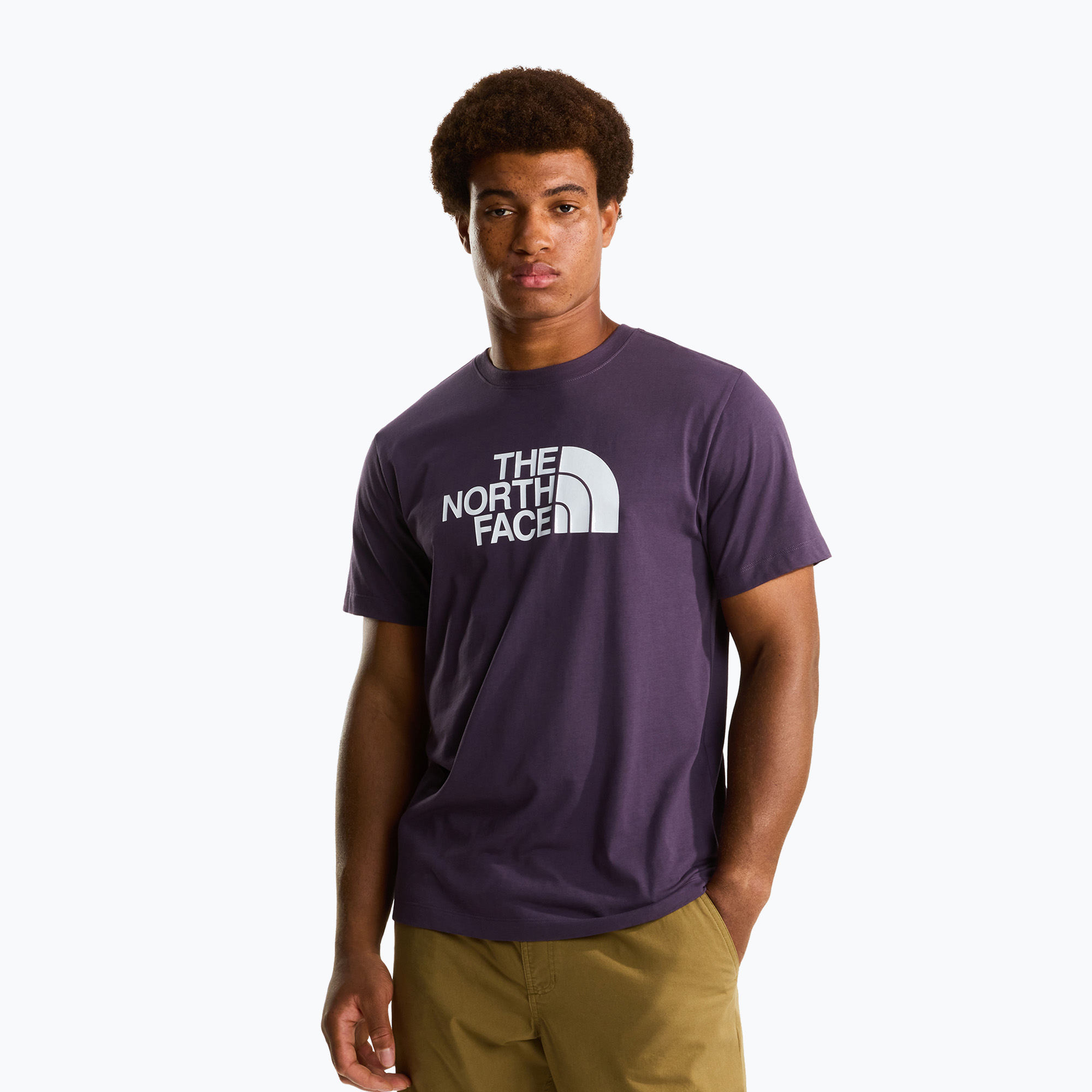 Tricou pentru bărbați The North Face Evolution Half Dome endless dusk