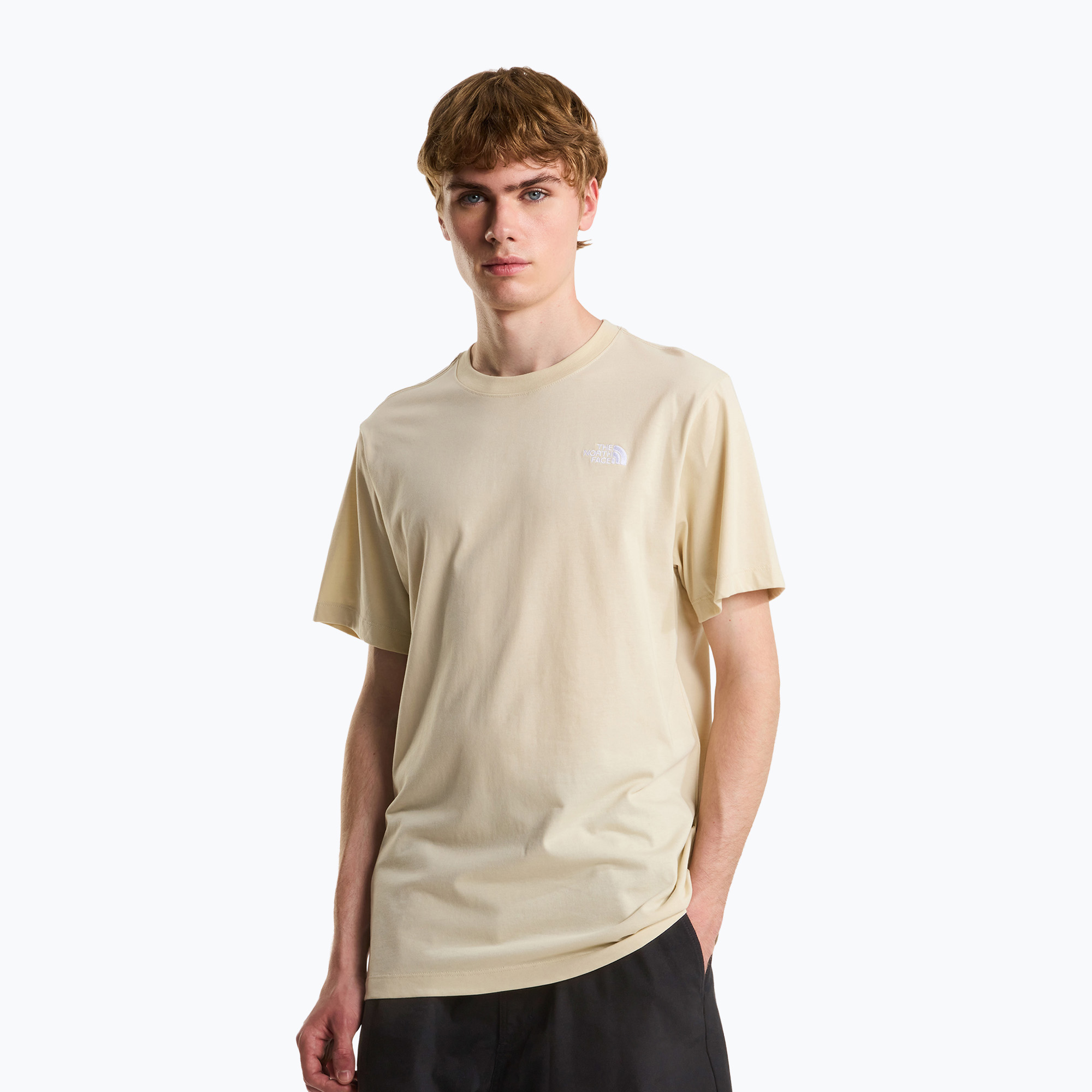 Tricou bărbătesc The North Face Evolution Simple Dome desert stone