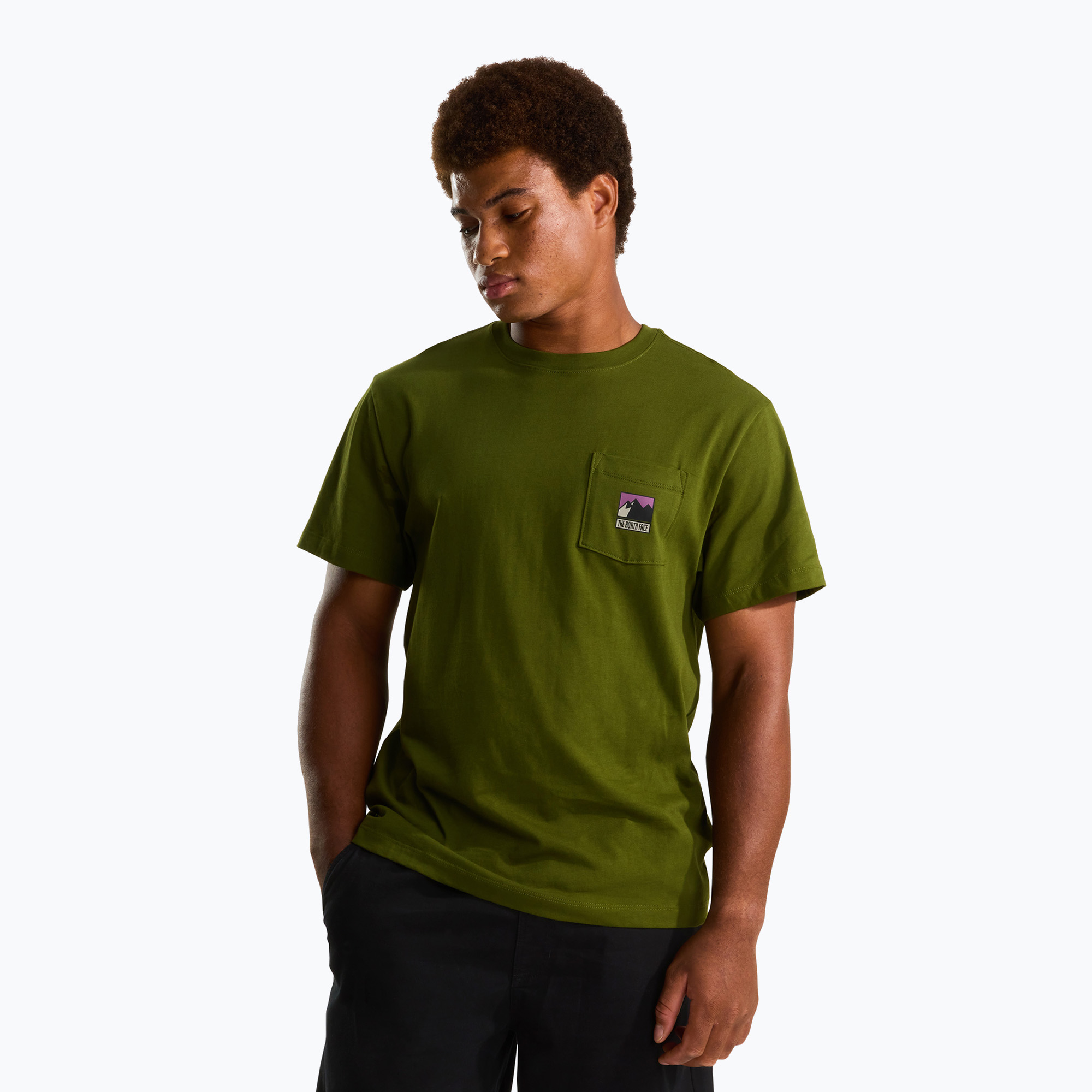 Koszulka męska The North Face Mountain Logo Relaxed woodland green 