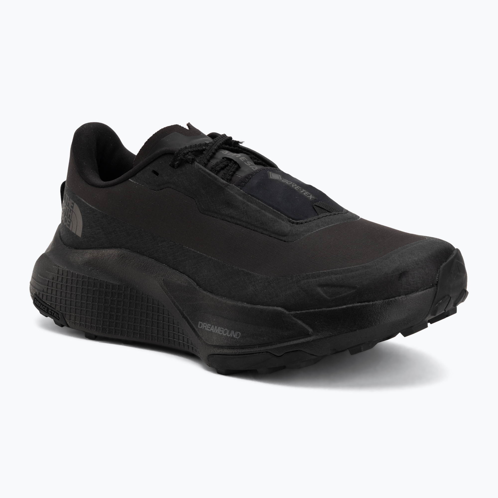 Herren-Laufschuhe Buty The North Face Altamesa 500V2 GTX tnf black/tnf black