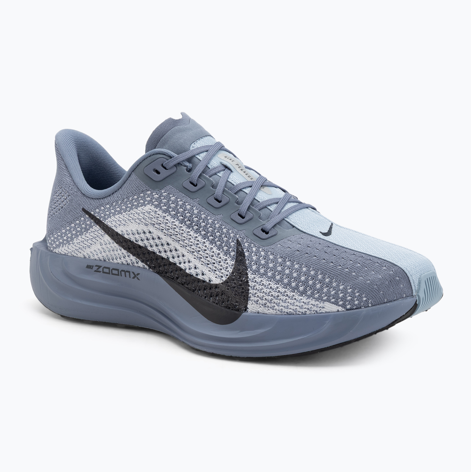 Buty do biegania męskie Nike Pegasus Plus ashen slate/anthracite/white 