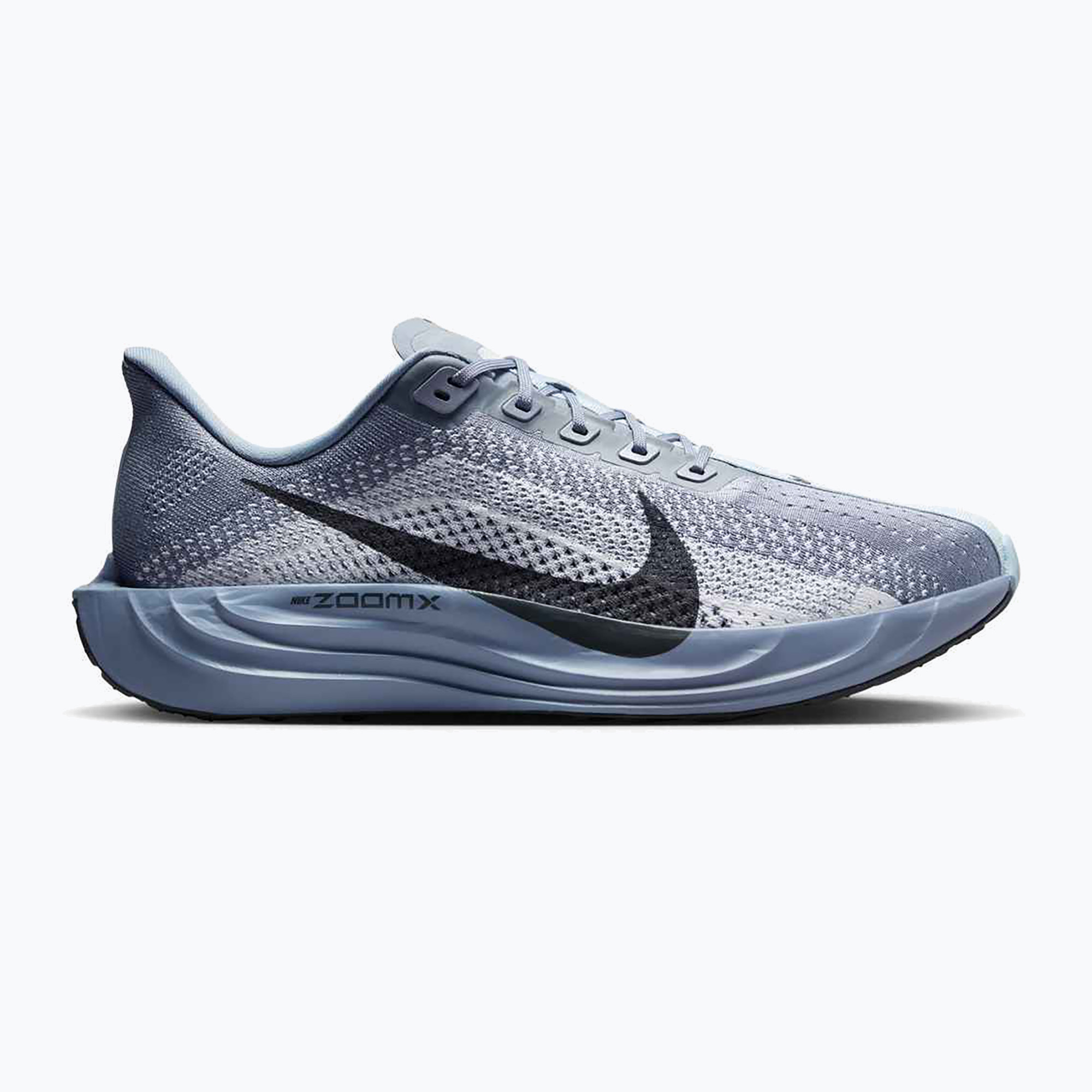 Buty do biegania męskie Nike Pegasus Plus ashen slate/anthracite/white 