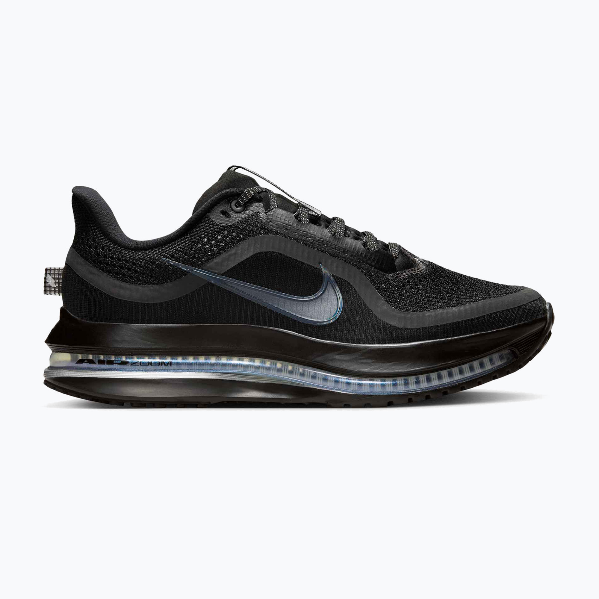 Buty do biegania damskie Nike Pegasus Premium black/metallic silver/black 