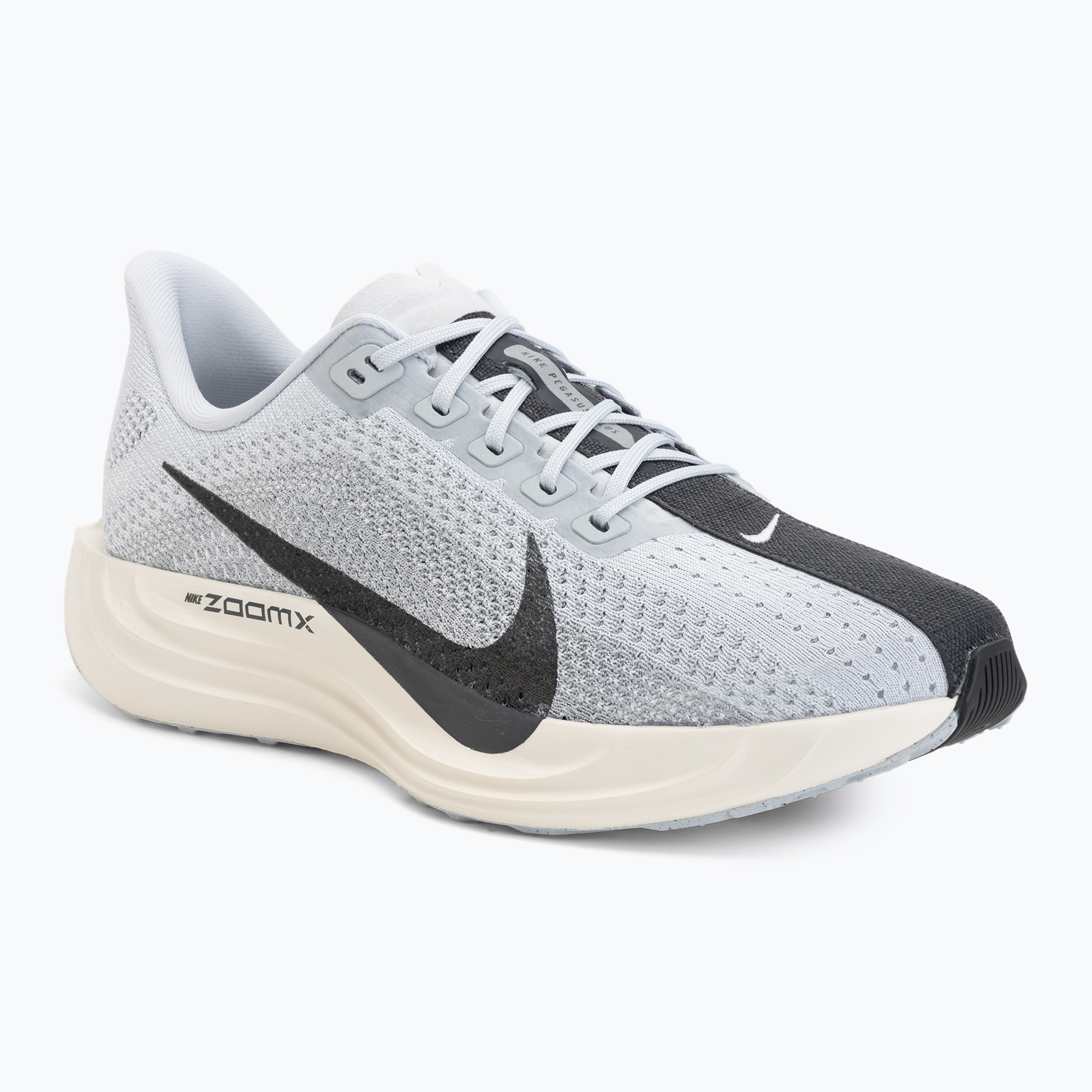 Buty do biegania męskie Nike Pegasus Plus pure platinum/wolf grey/sail/anthracite 