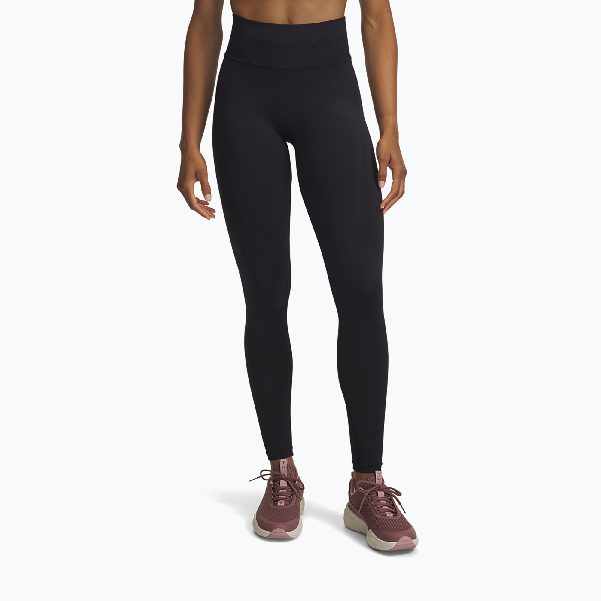 Legginsy treningowe damskie Under Armour Project Rock black/anthracite 