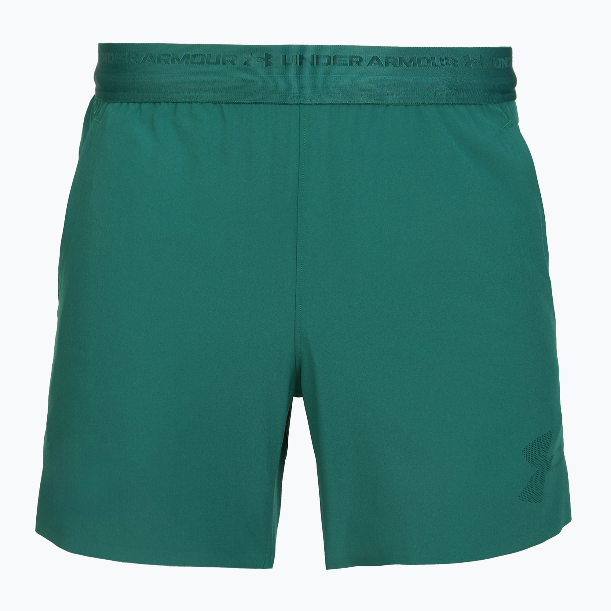 Spodenki treningowe męskie Under Armour Vanish Elite rack green/rack green | WYSYŁKA W 24H | 30 DNI NA ZWROT